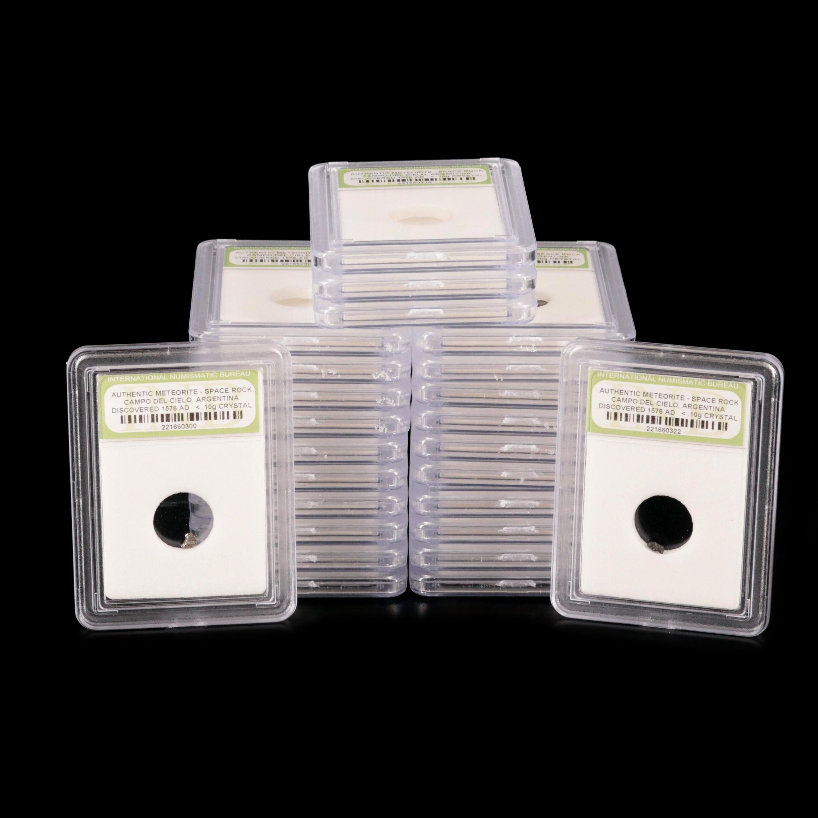 Group of Twenty-Five Meteorites from the Campo Del Cielo Region of Argentina