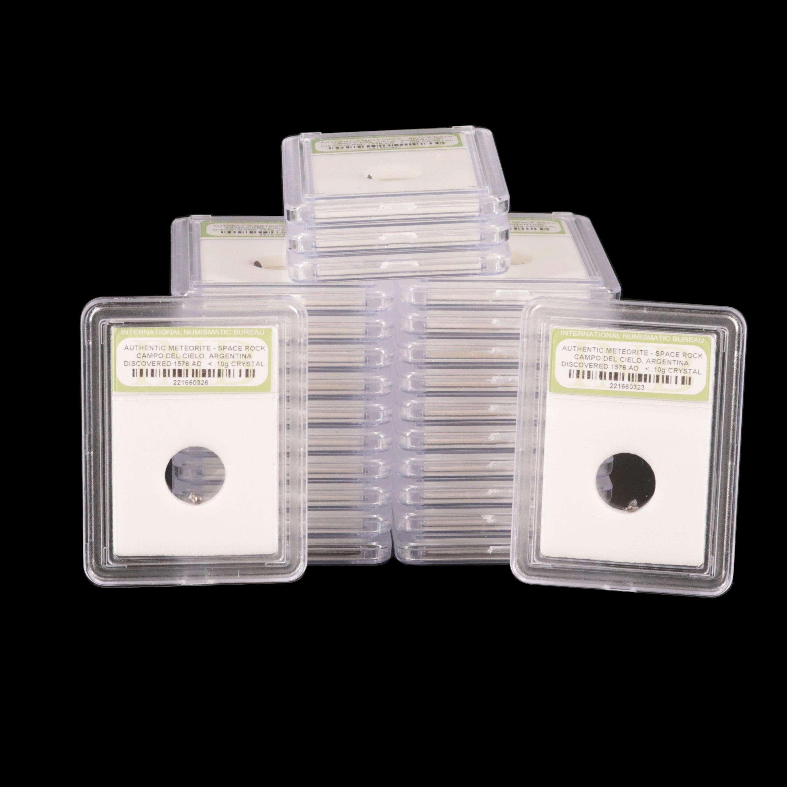 Twenty-Five Meteorites from the Campo Del Cielo Region of Argentina