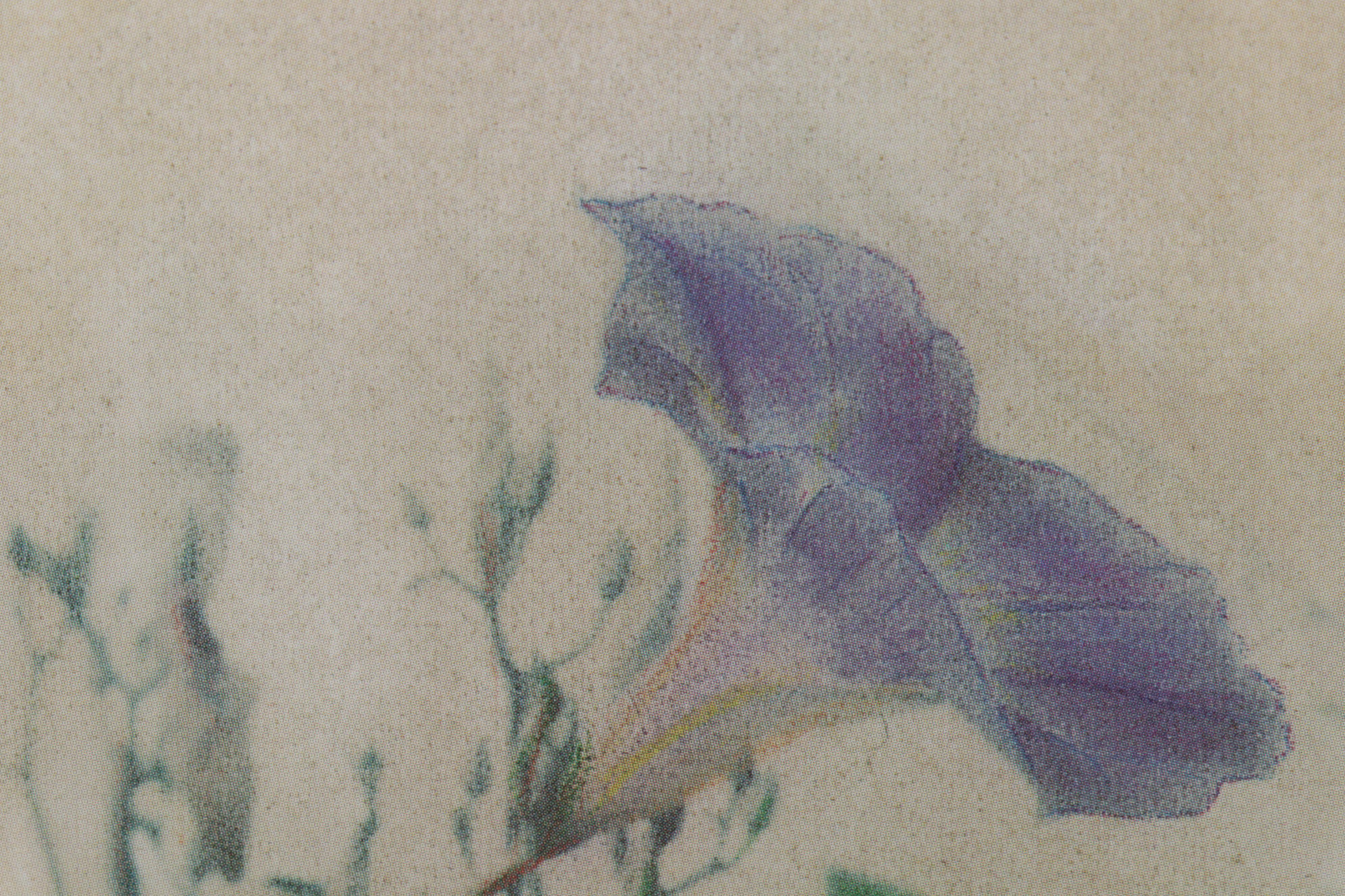 Floral Still Life Offset Lithographs, Circa 2000