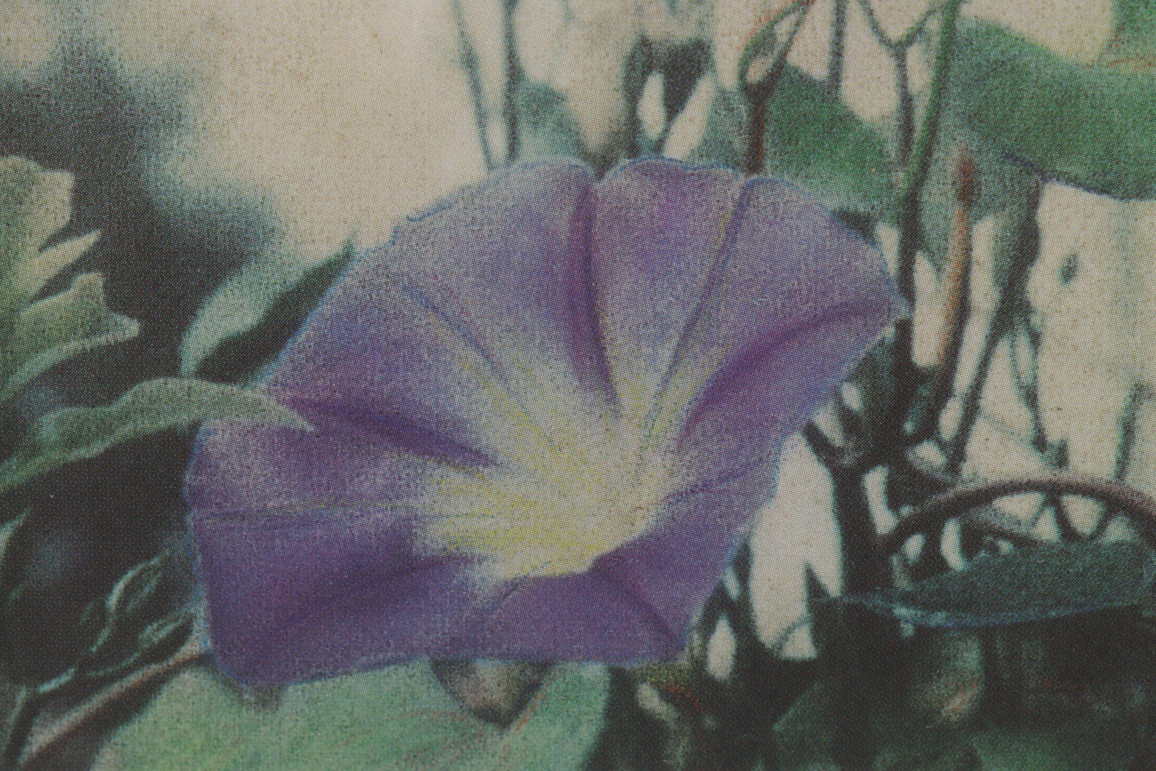 Floral Still Life Offset Lithographs, Circa 2000