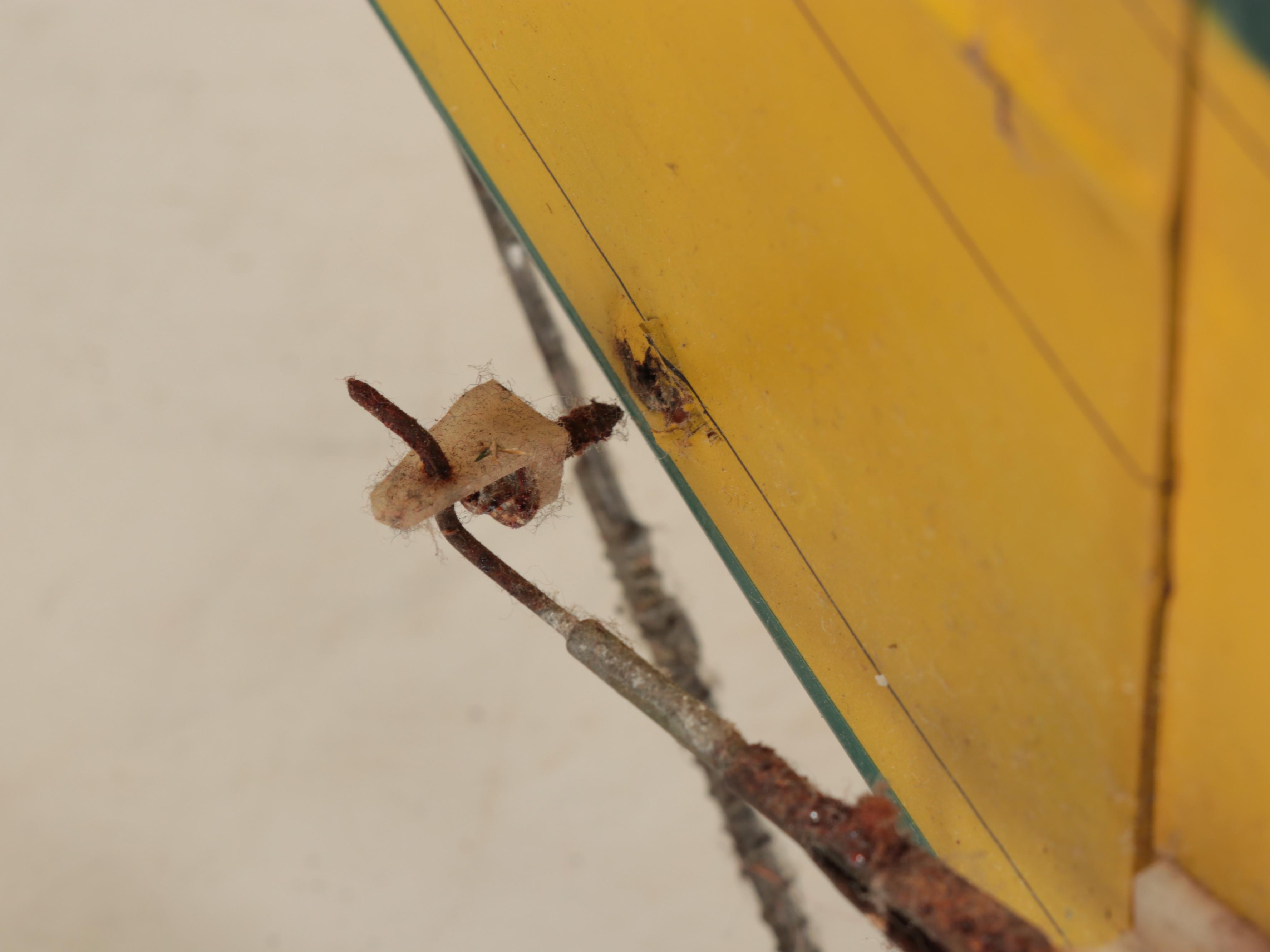 Handbuilt "Magnum" Single Engine Model Airplane, 1989