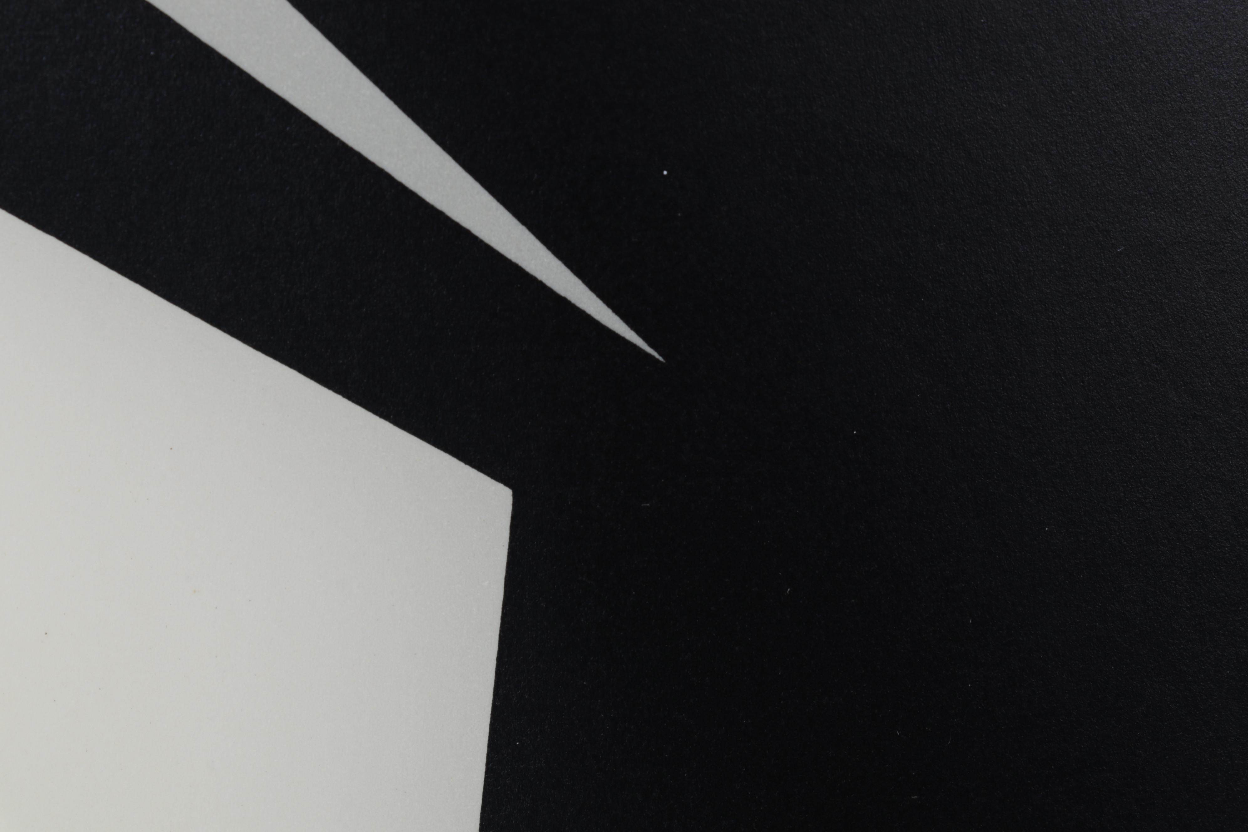 Lithograph After Victor Vasarely From "Plastic Arts of the 20th Century," 1965