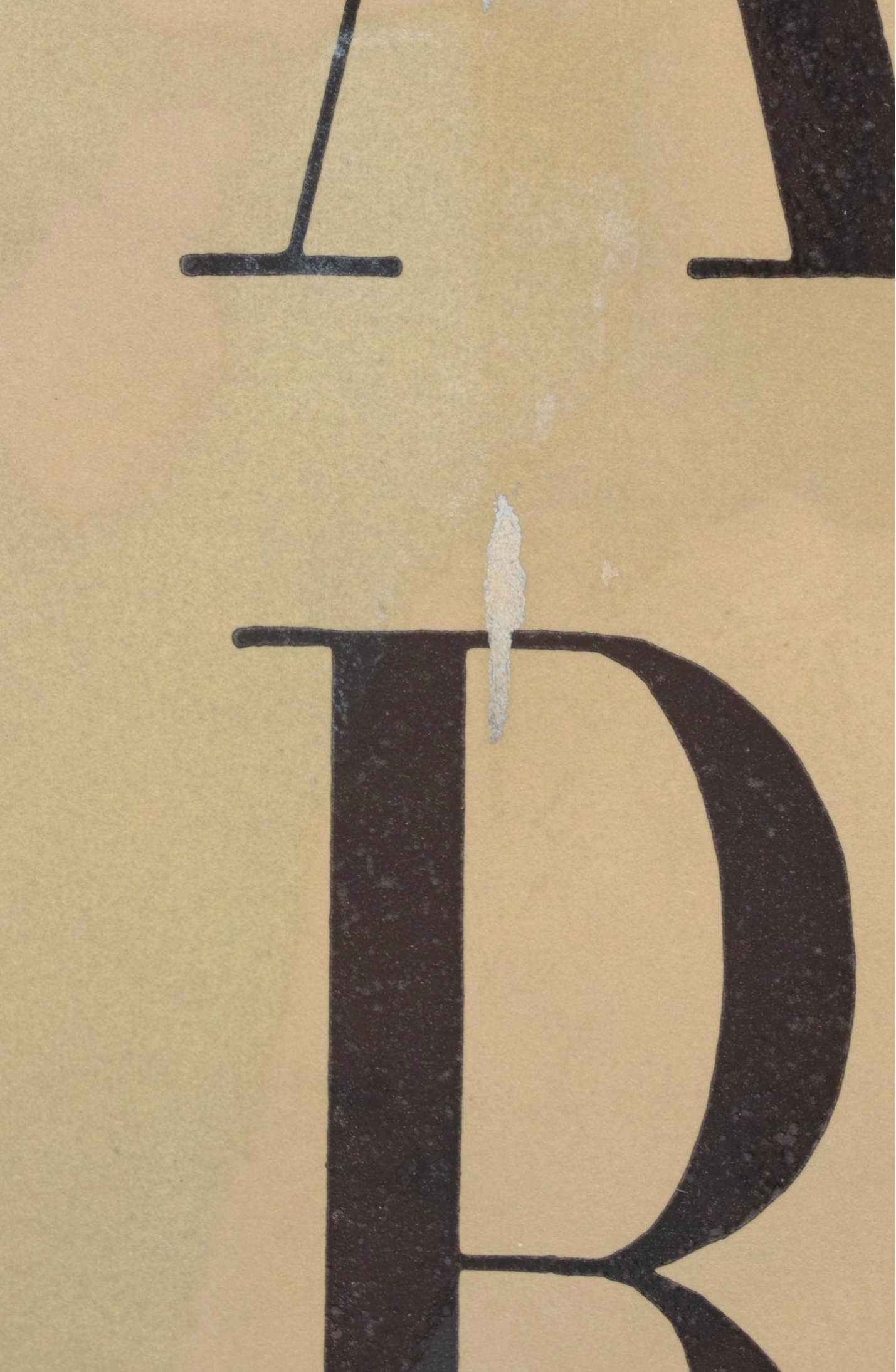 First Edition "Evidence, 1944-1994" and More Art Books