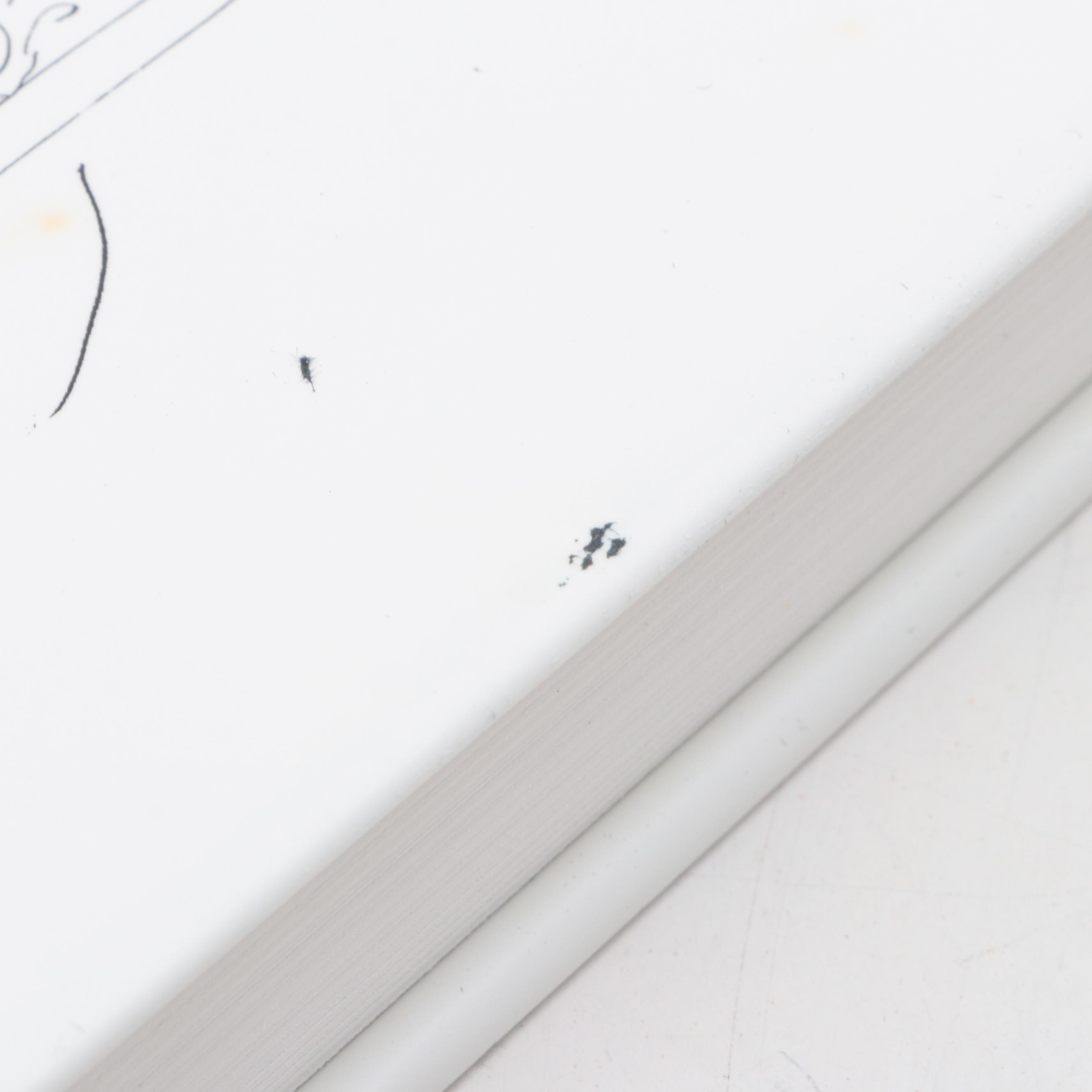 "Master Drawings from the Hermitage and Pushkin Museums" and More Art Books