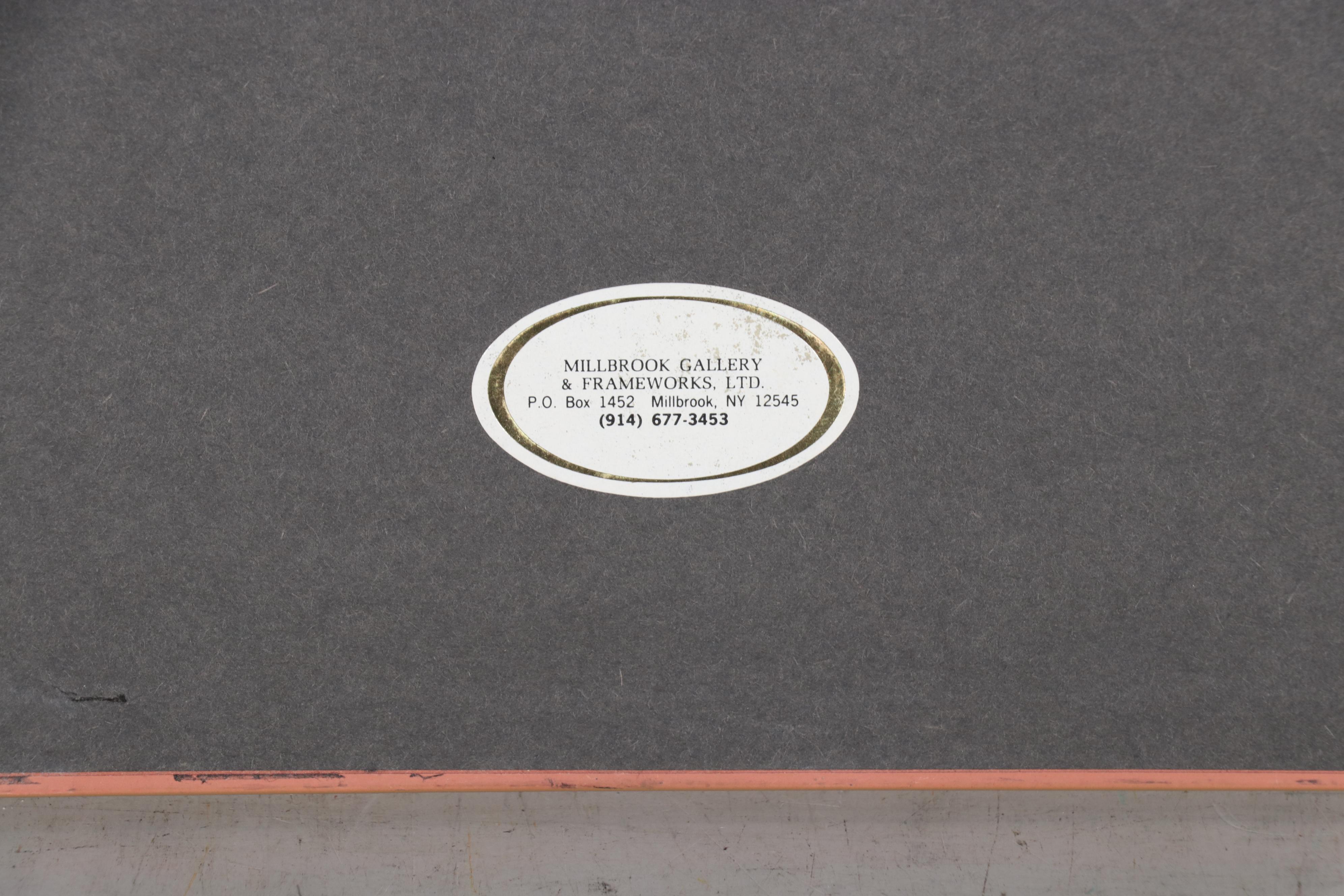 Hand-Colored Lithograph After Jean Charles Werner "Phoque"