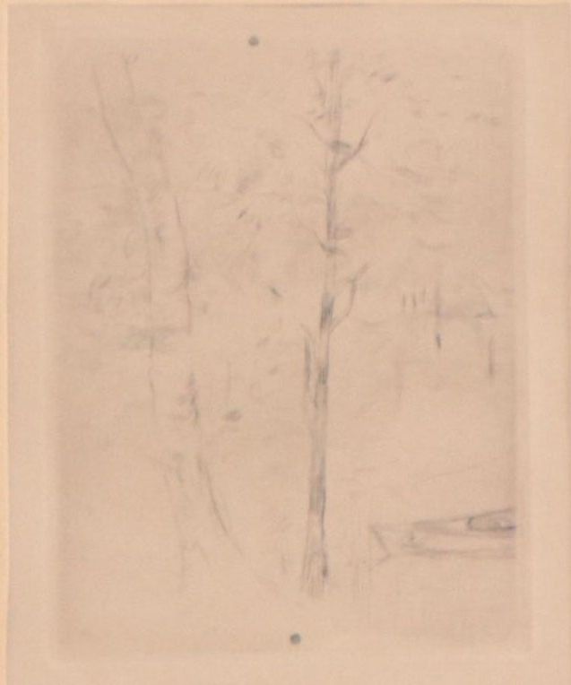 Drypoint Etching of Wooded Lake Landscape