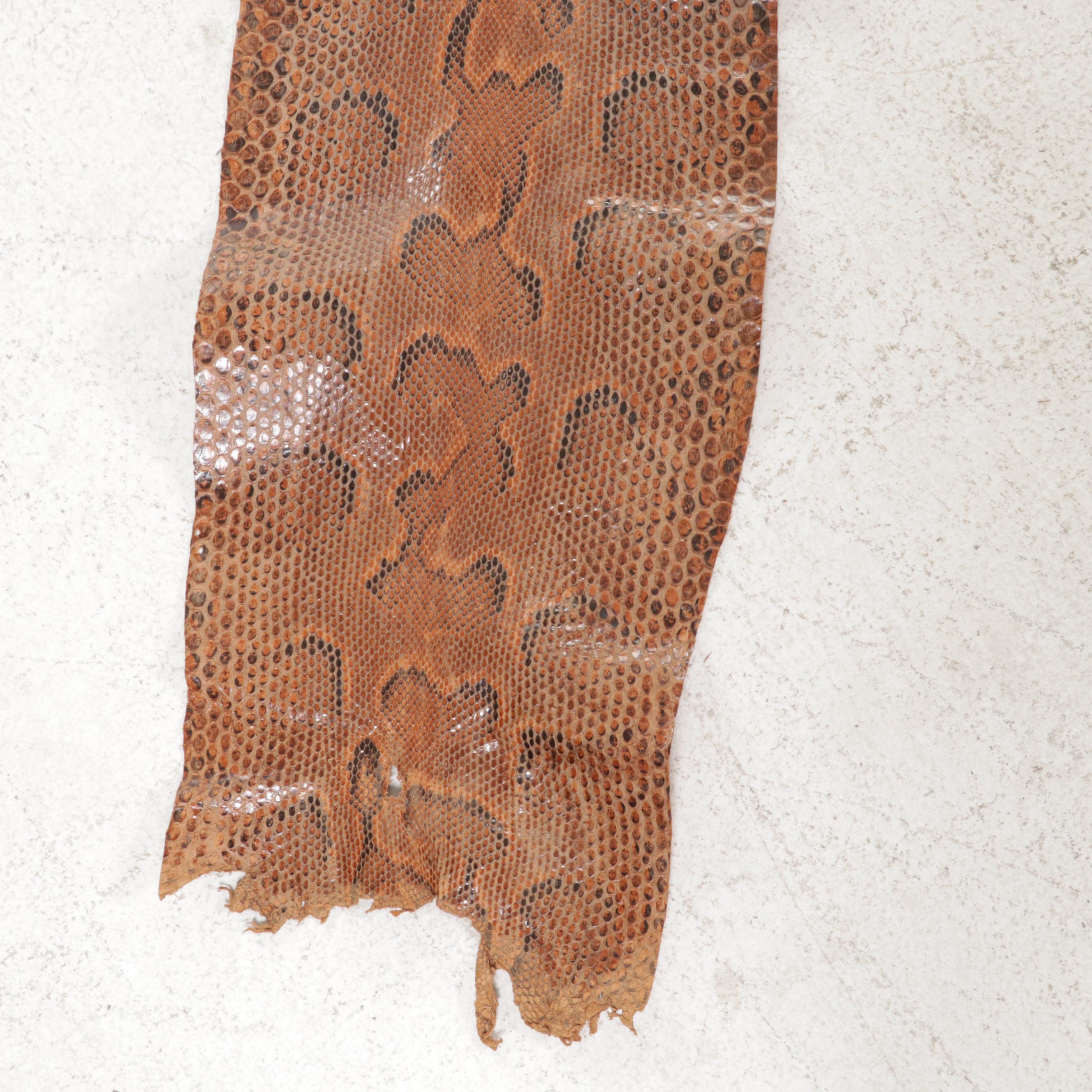 Ball Python Snakeskin Hide