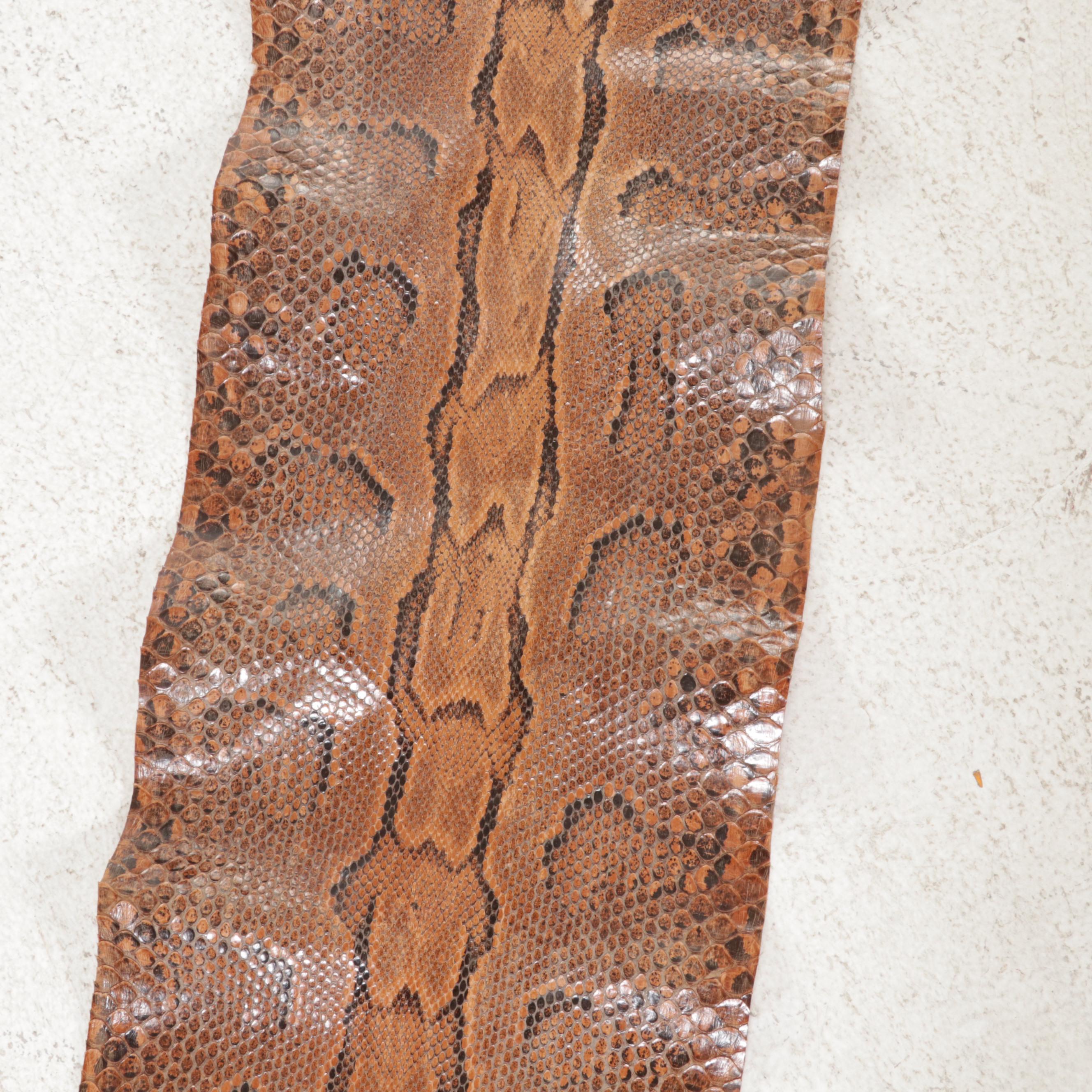 Ball Python Snakeskin Hide