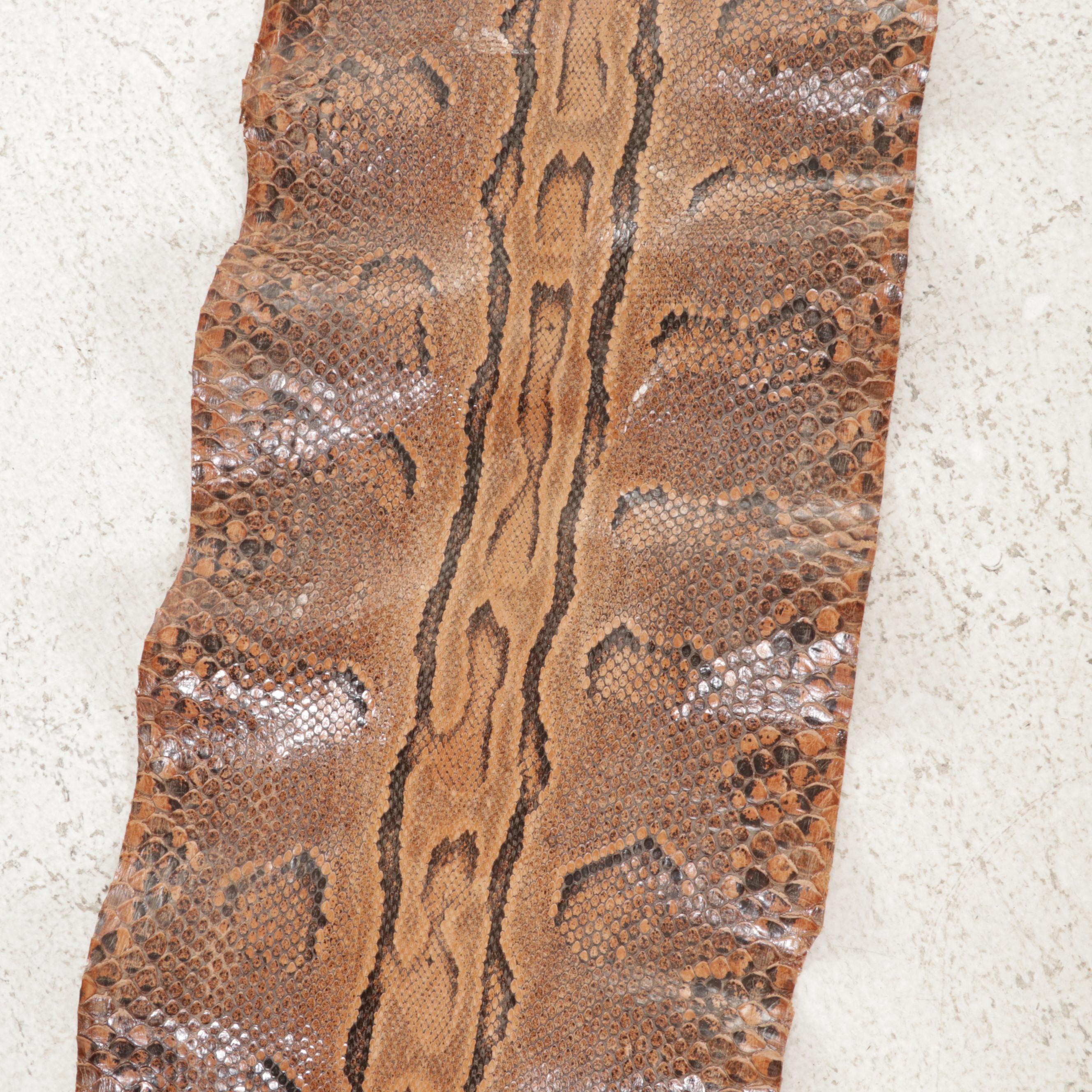 Ball Python Snakeskin Hide