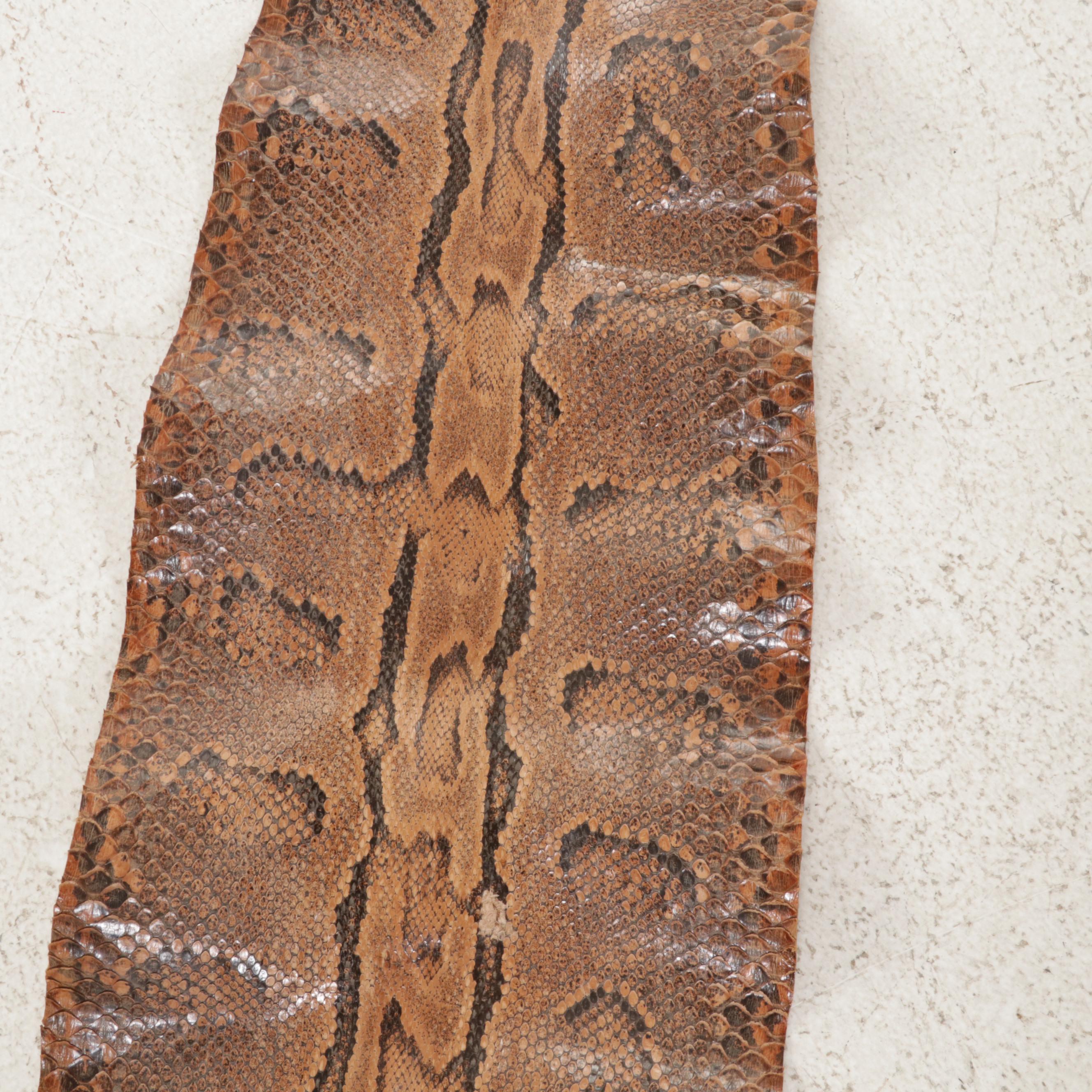 Ball Python Snakeskin Hide