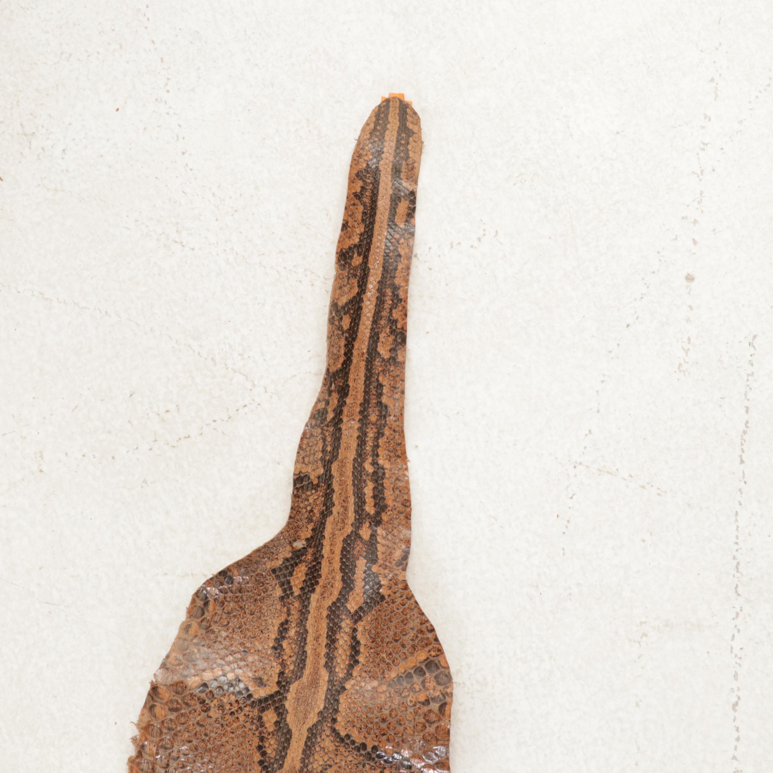 Ball Python Snakeskin Hide