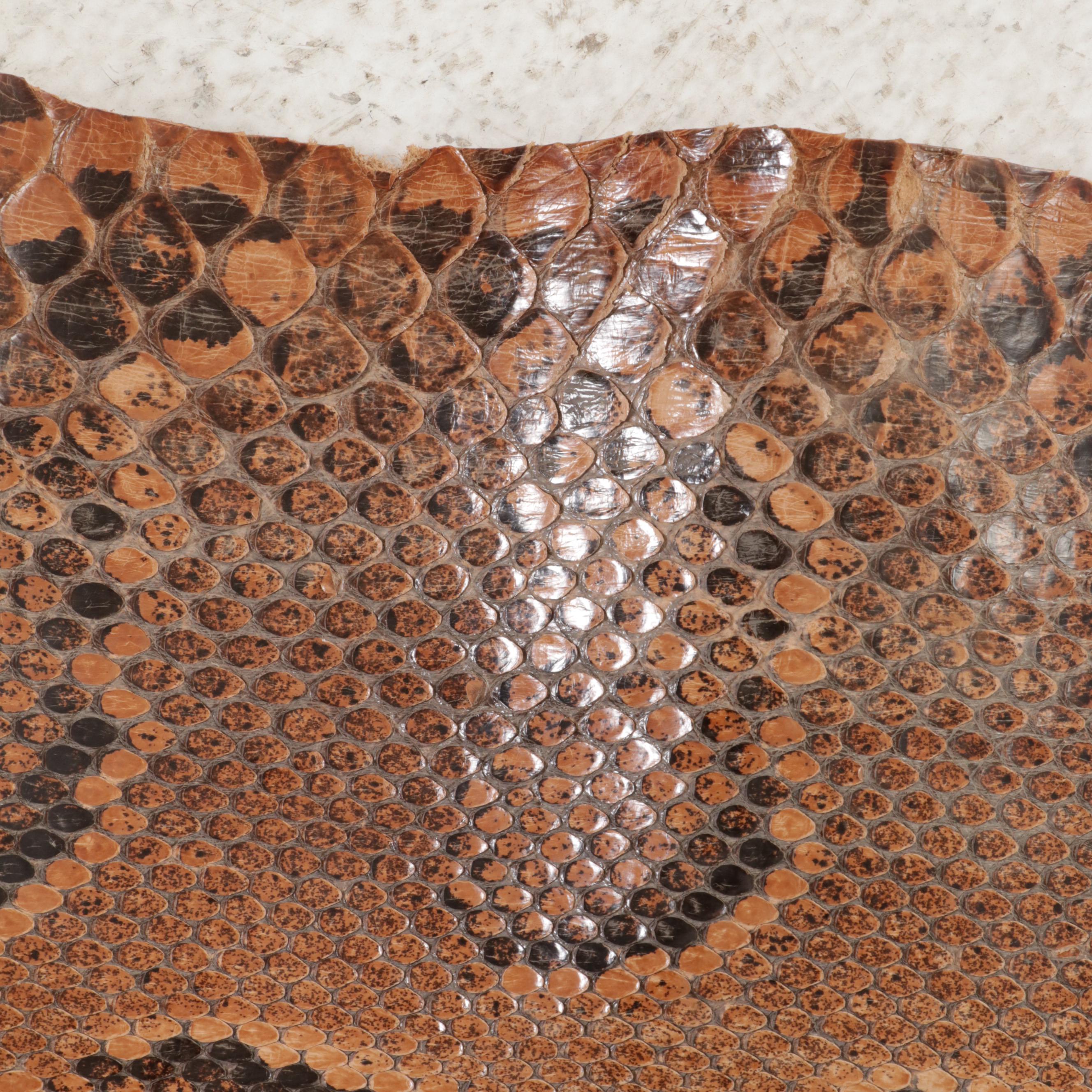 Ball Python Snakeskin Hide