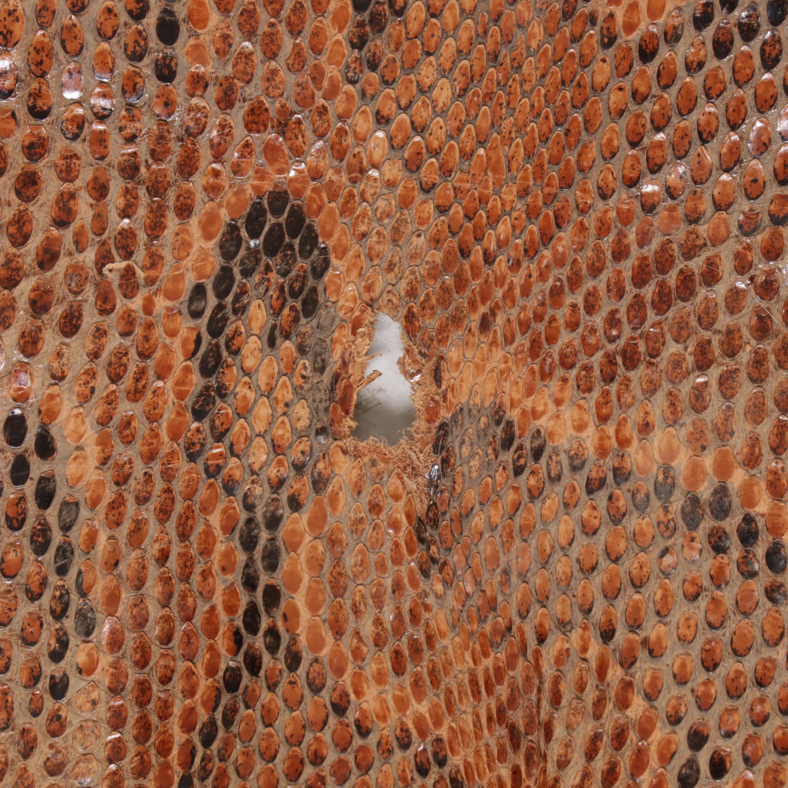 Ball Python Snakeskin Hide