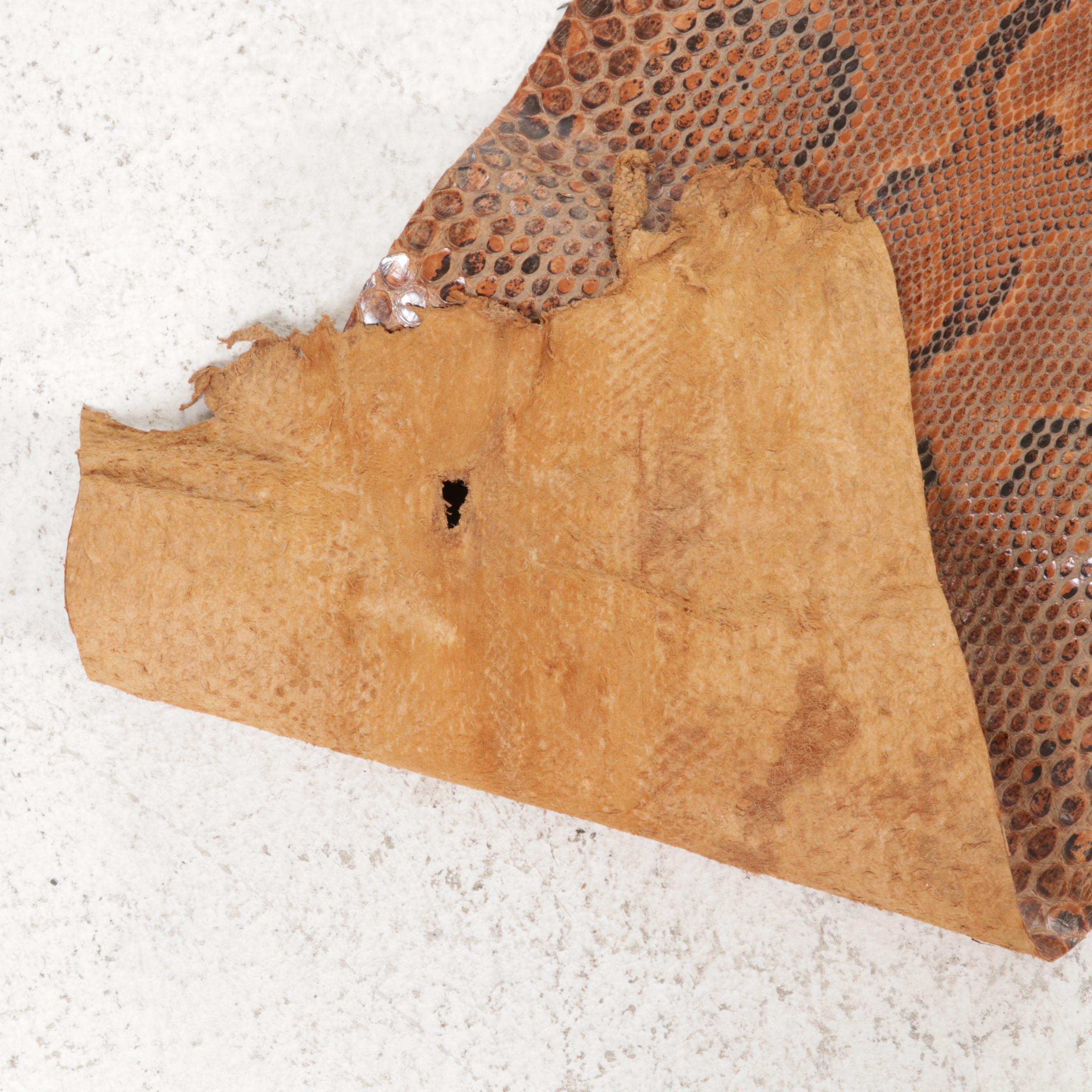 Ball Python Snakeskin Hide