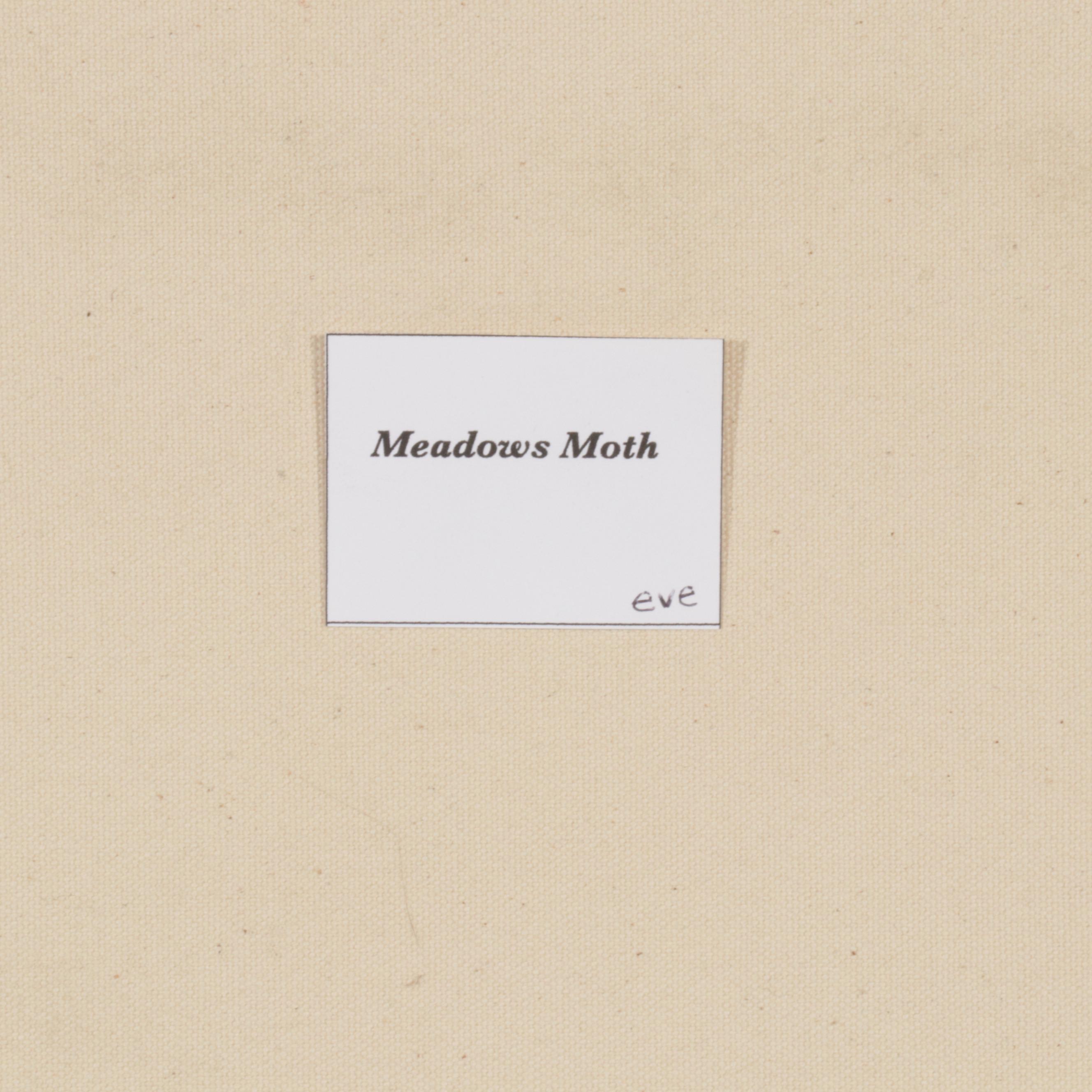 Folk Art Acrylic Painting "Meadows Moth," 21st Century