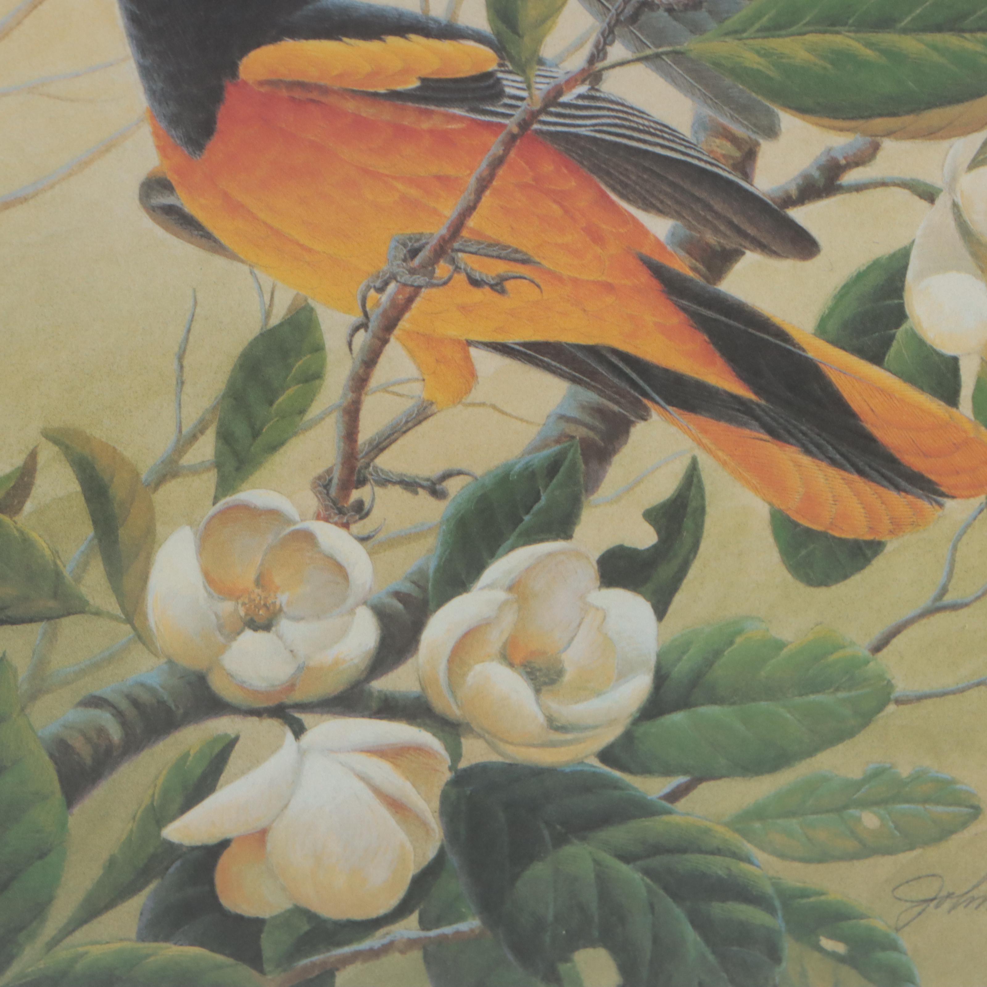 John A. Ruthven Offset Lithograph "Northern Orioles," 1992