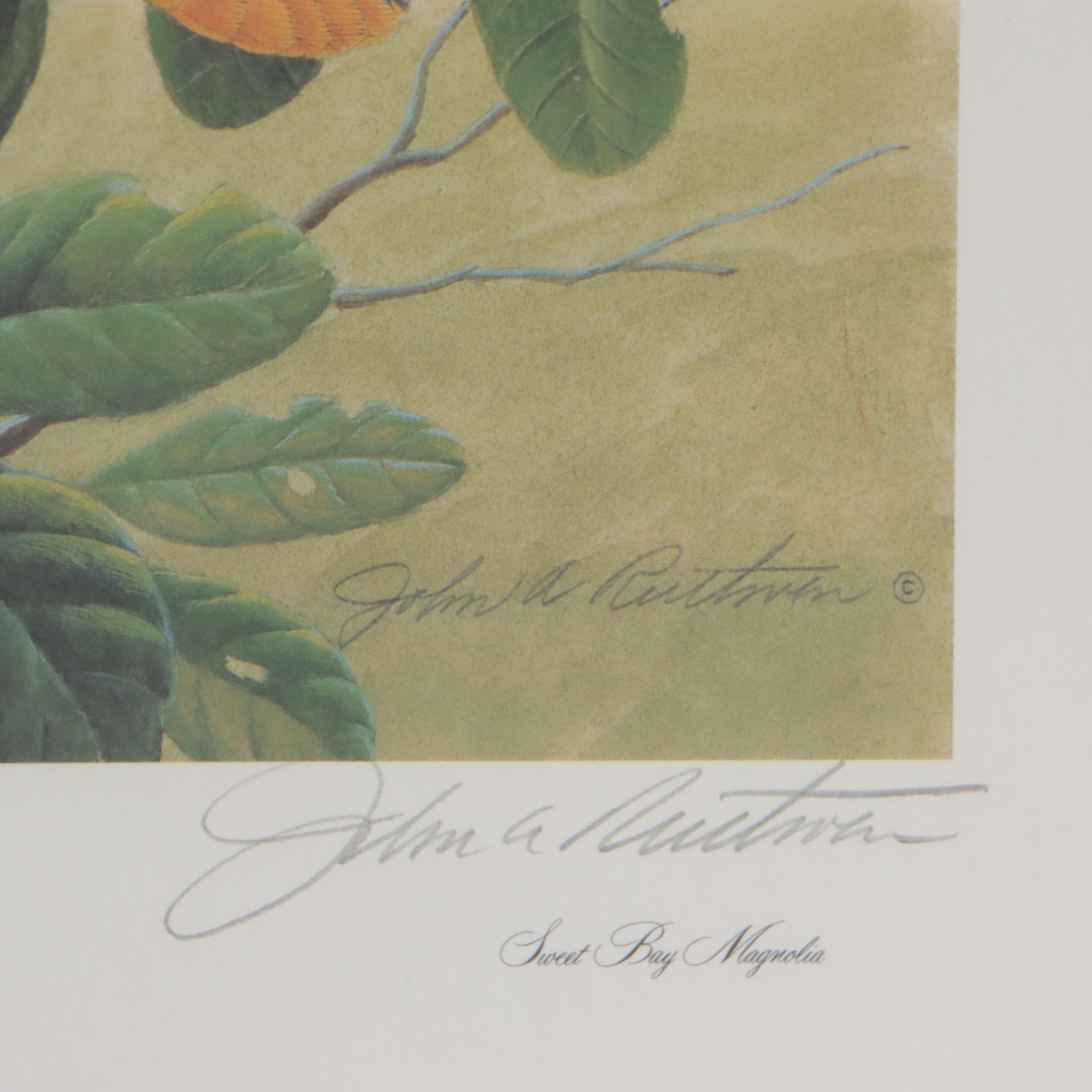 John A. Ruthven Offset Lithograph "Northern Orioles," 1992