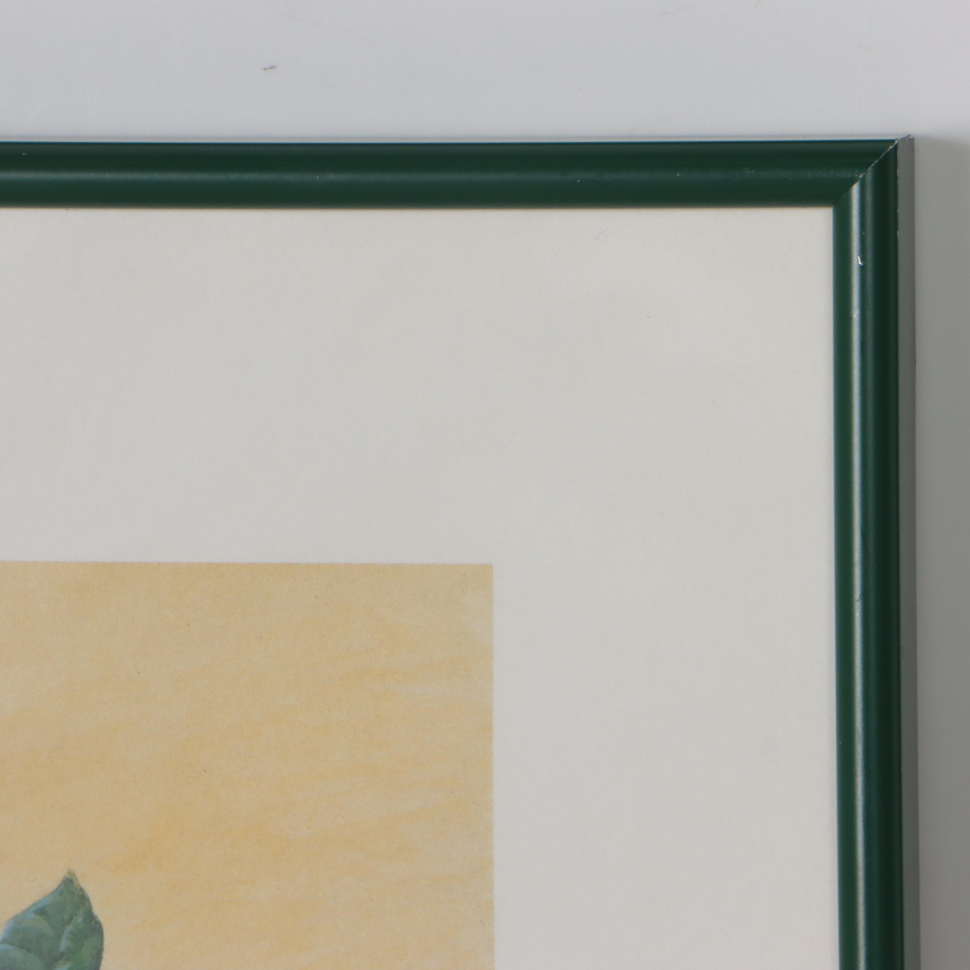 John A. Ruthven Offset Lithograph "Northern Orioles," 1992