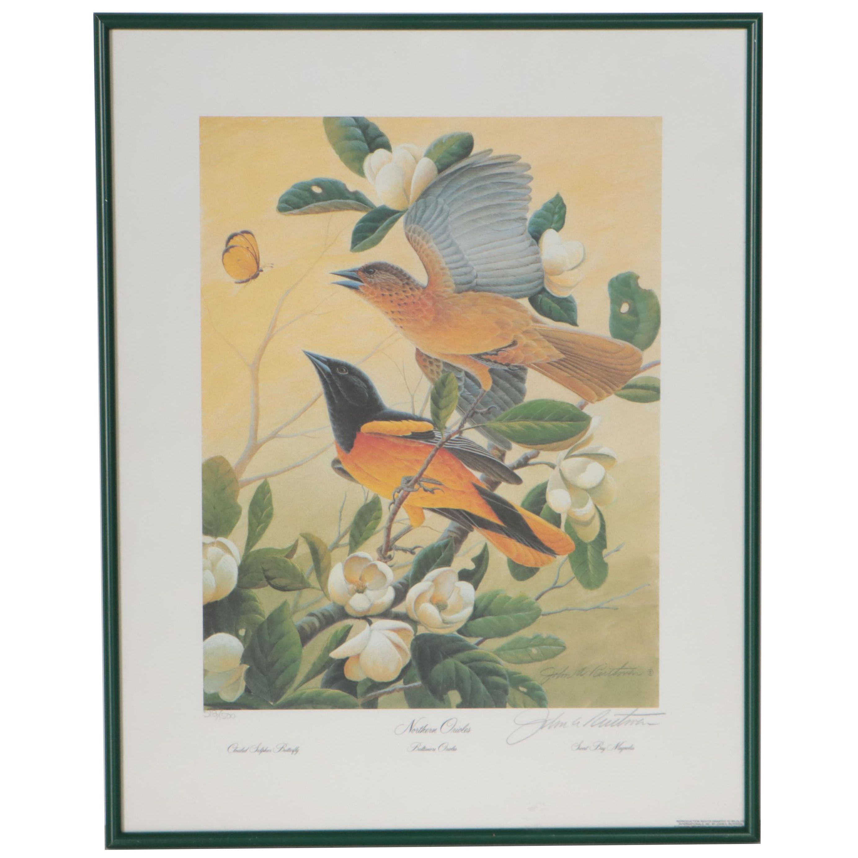 John A. Ruthven Offset Lithograph "Northern Orioles," 1992