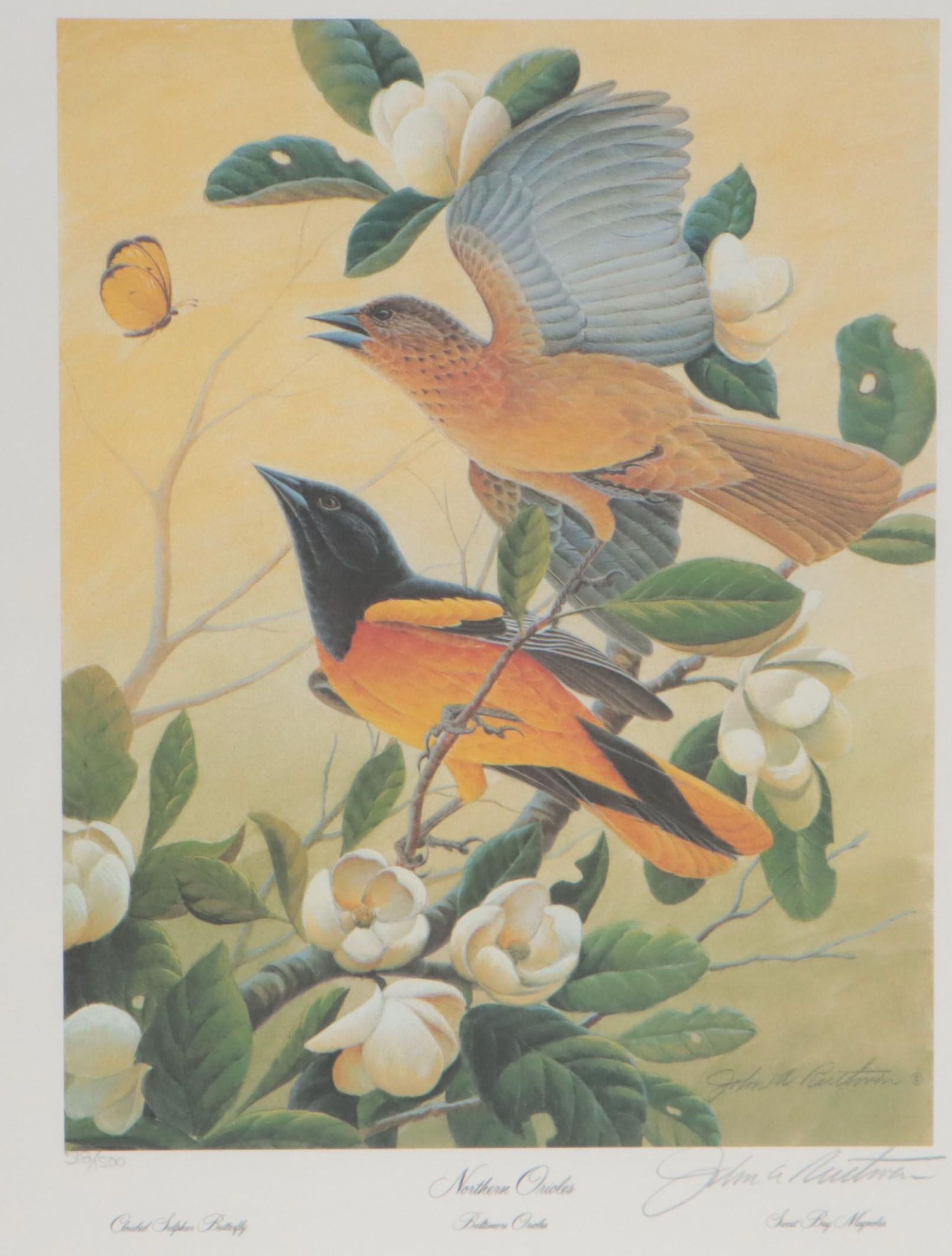 John A. Ruthven Offset Lithograph "Northern Orioles," 1992