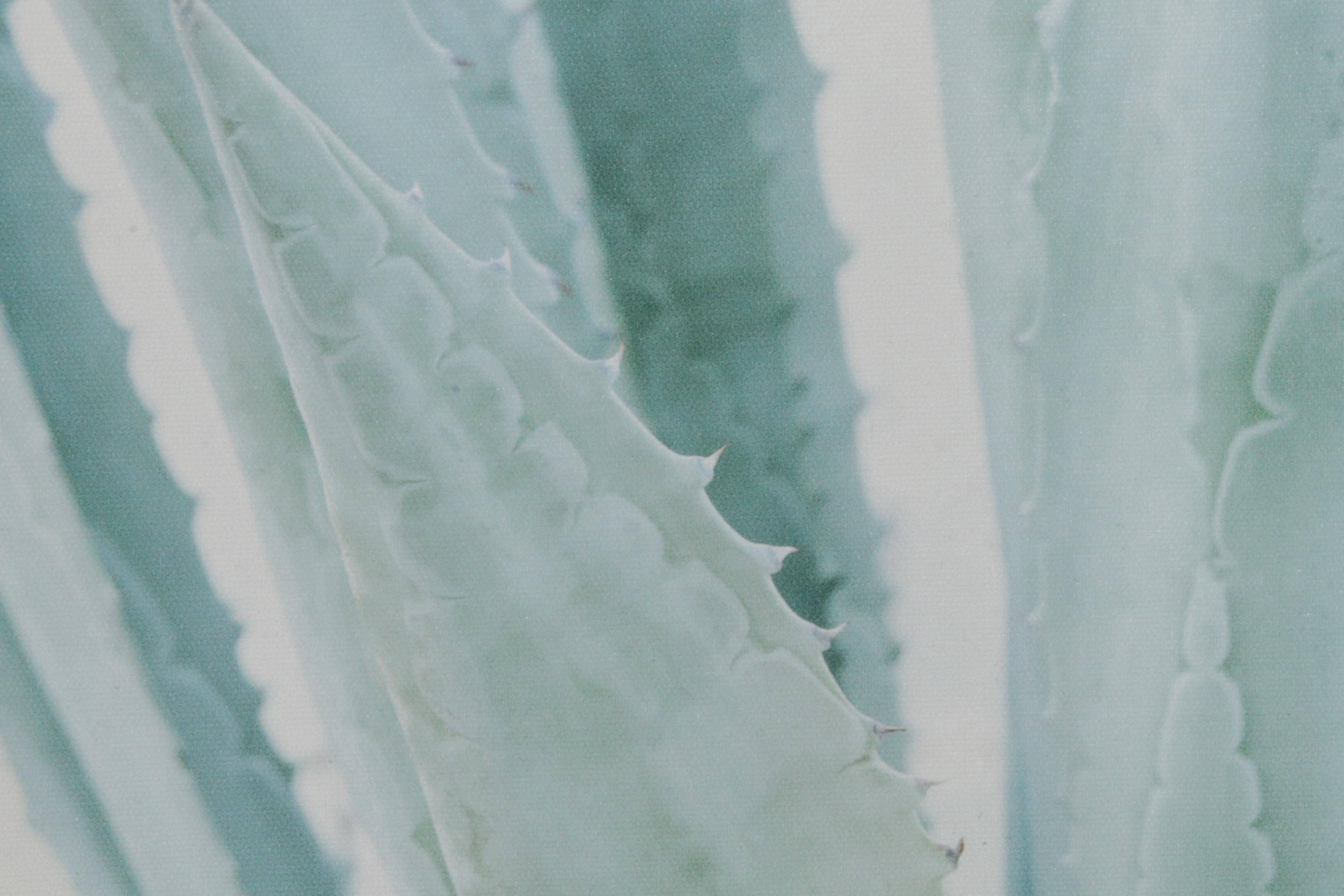 IKEA Giclées After Irene Suchocki of Coastal Beach Scenes, 21st Century