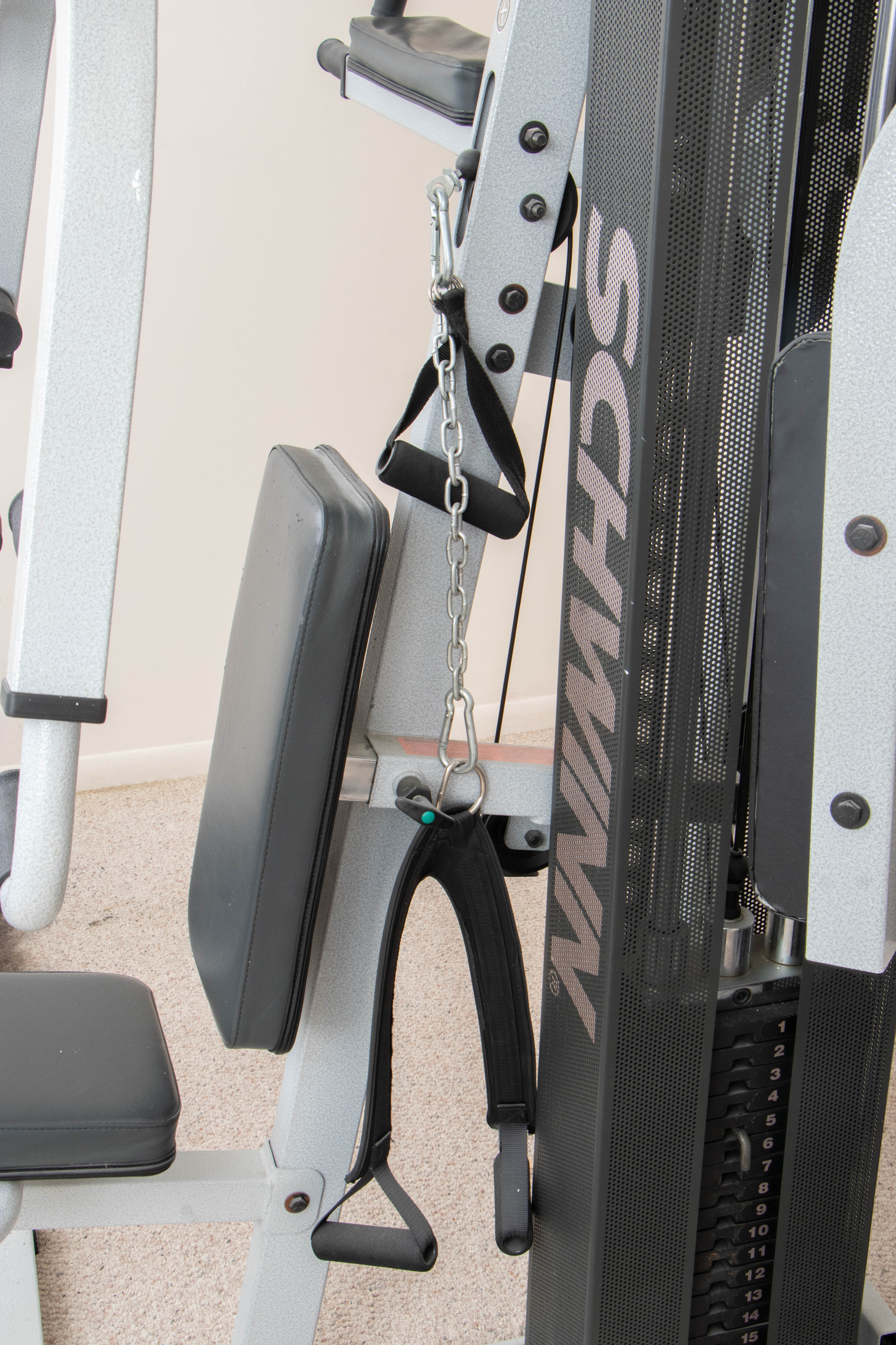 Schwinn Home Trainer Gym