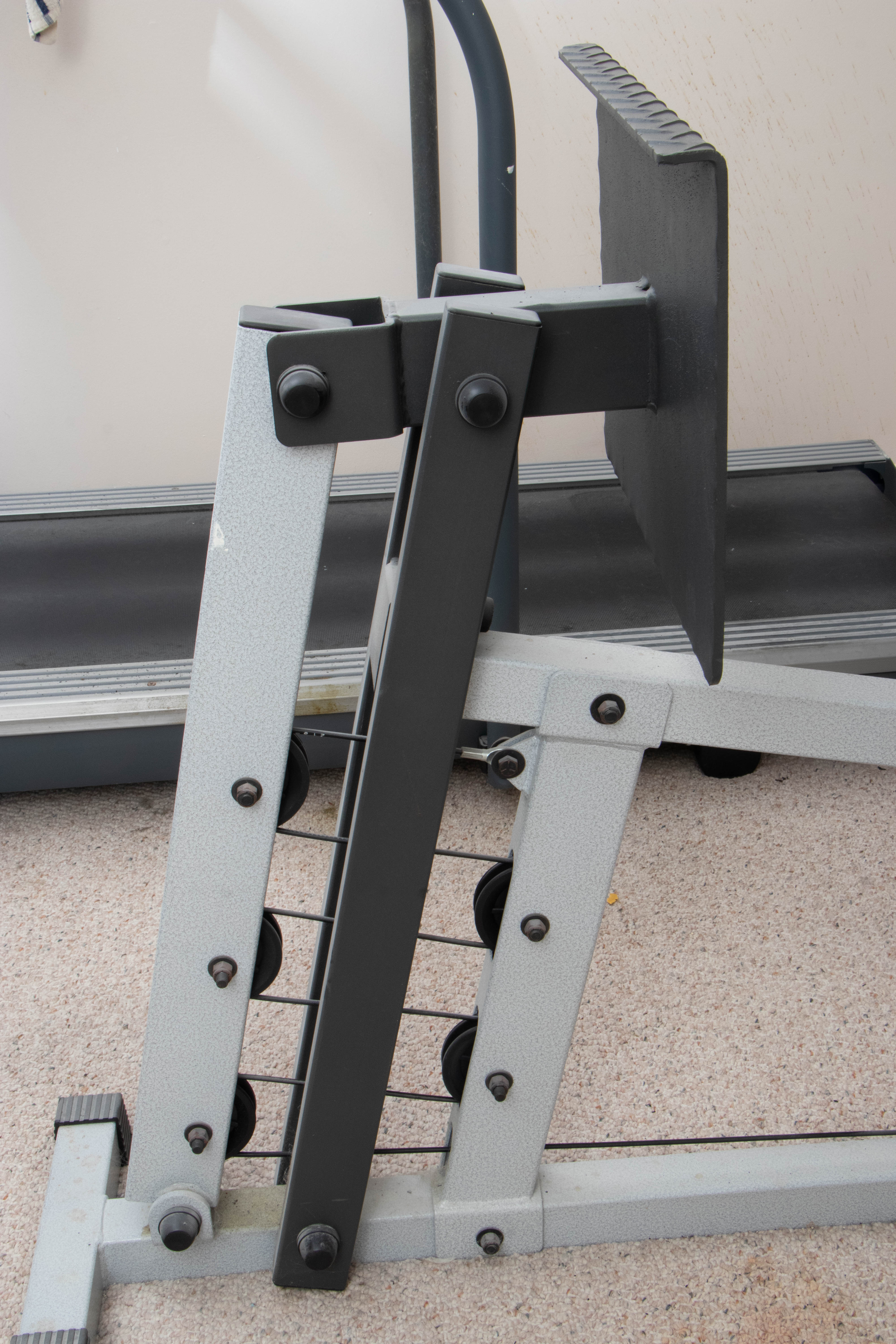 Schwinn Home Trainer Gym