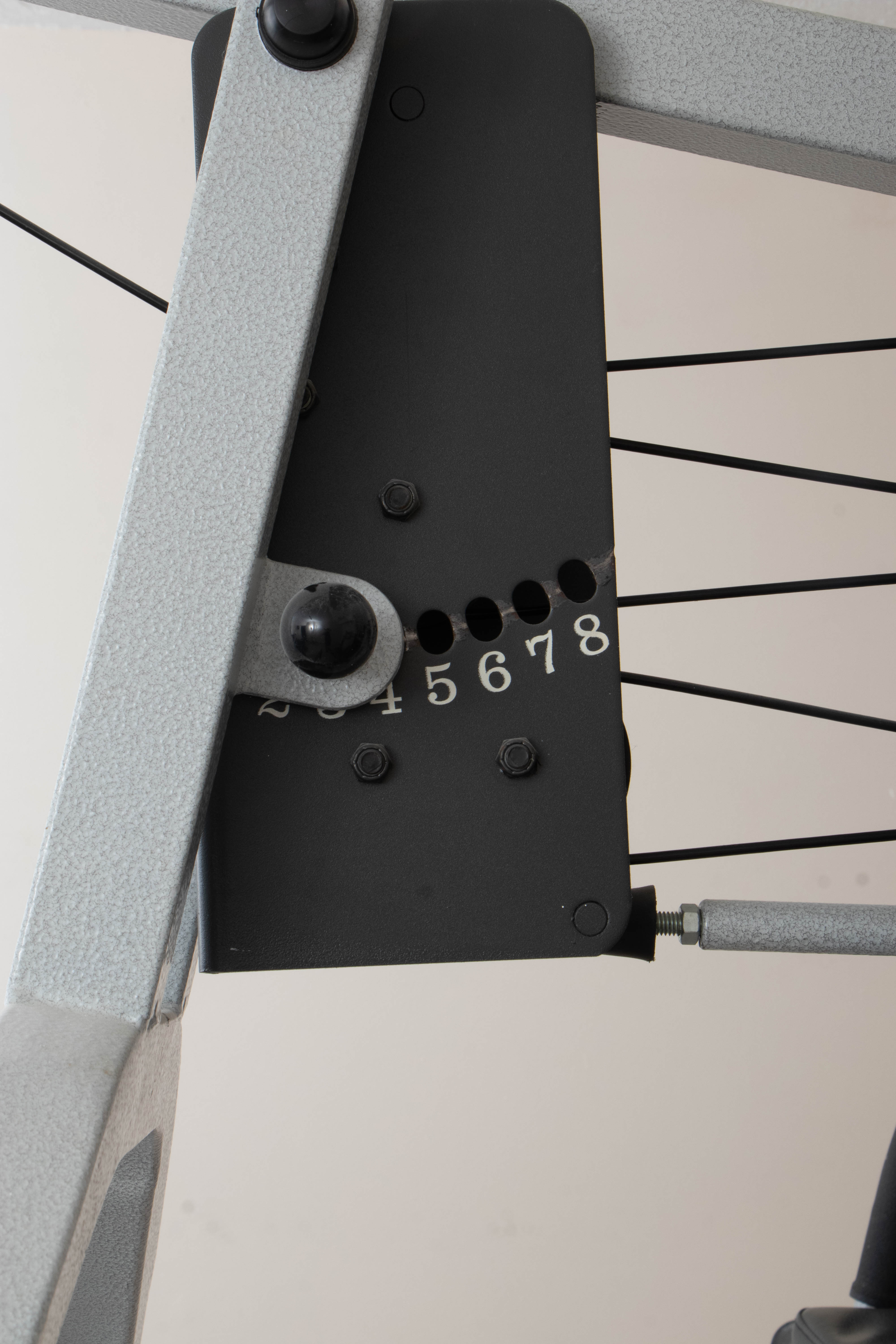 Schwinn Home Trainer Gym