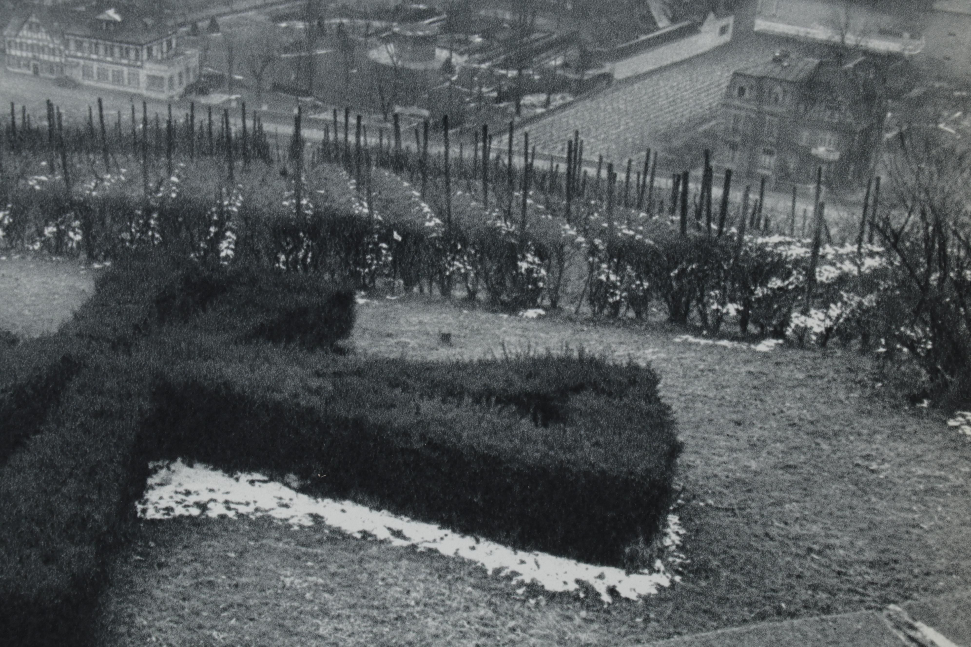 Henri Cartier-Bresson Rhine Valley Rotogravure From "The Europeans," 1955