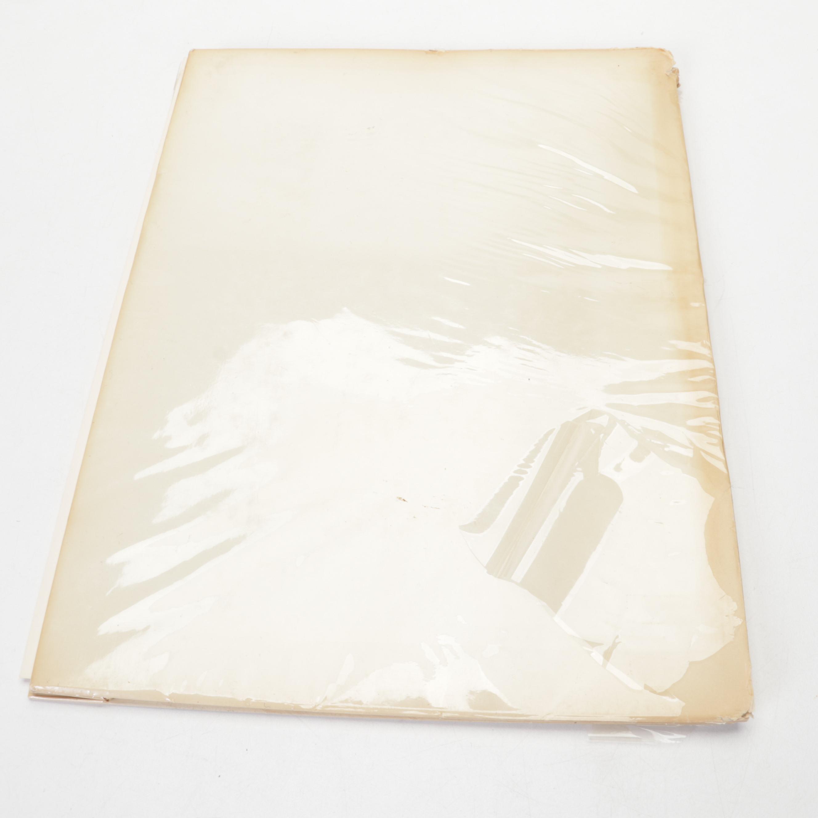 "Degas: Dancers and Ballet Scenes" Portfolio and "Degas" Abrams Art Book