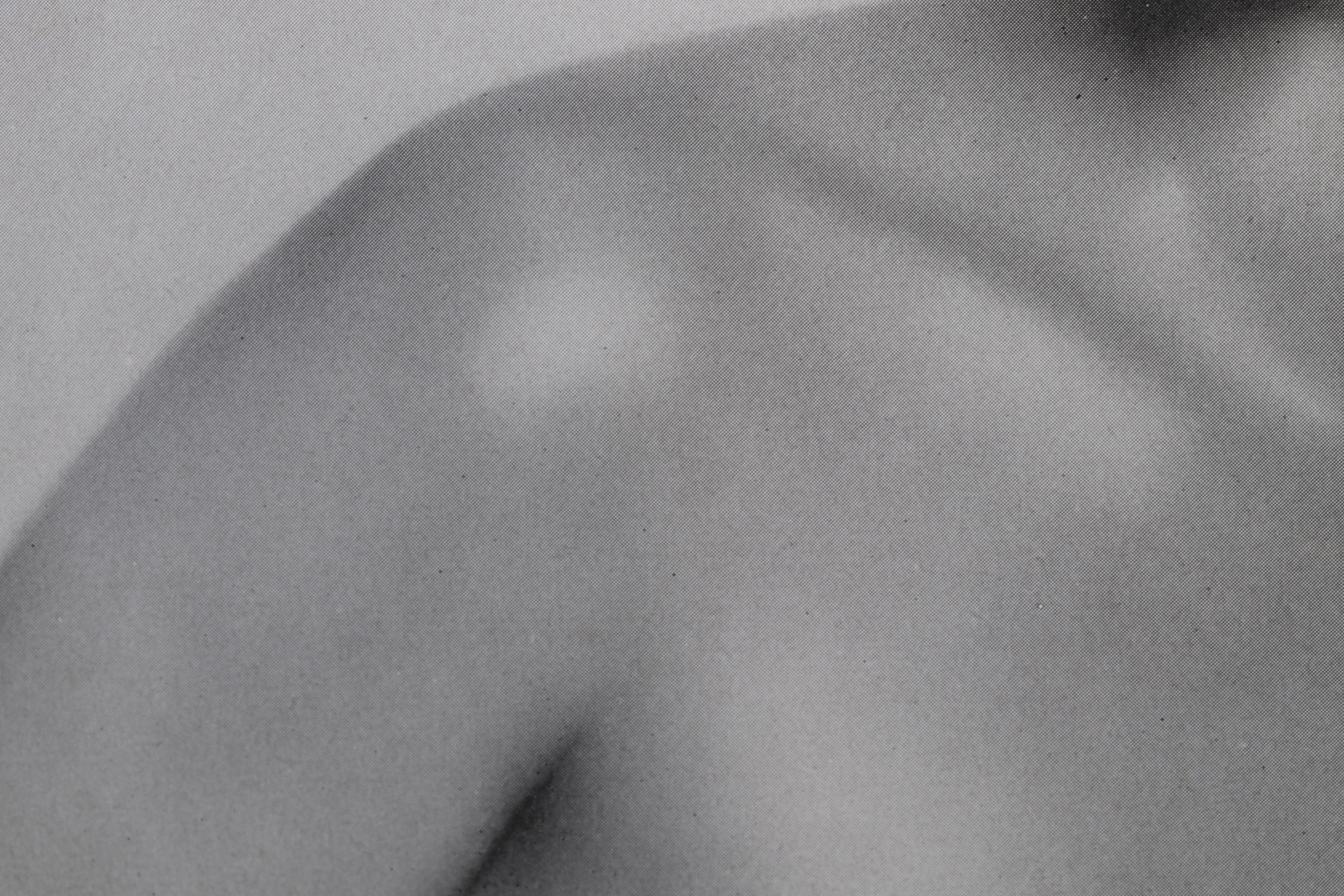 Dorothy Wilding Nude Portrait Halftone From "Das Deutsches Aktwerk," Circa 1938