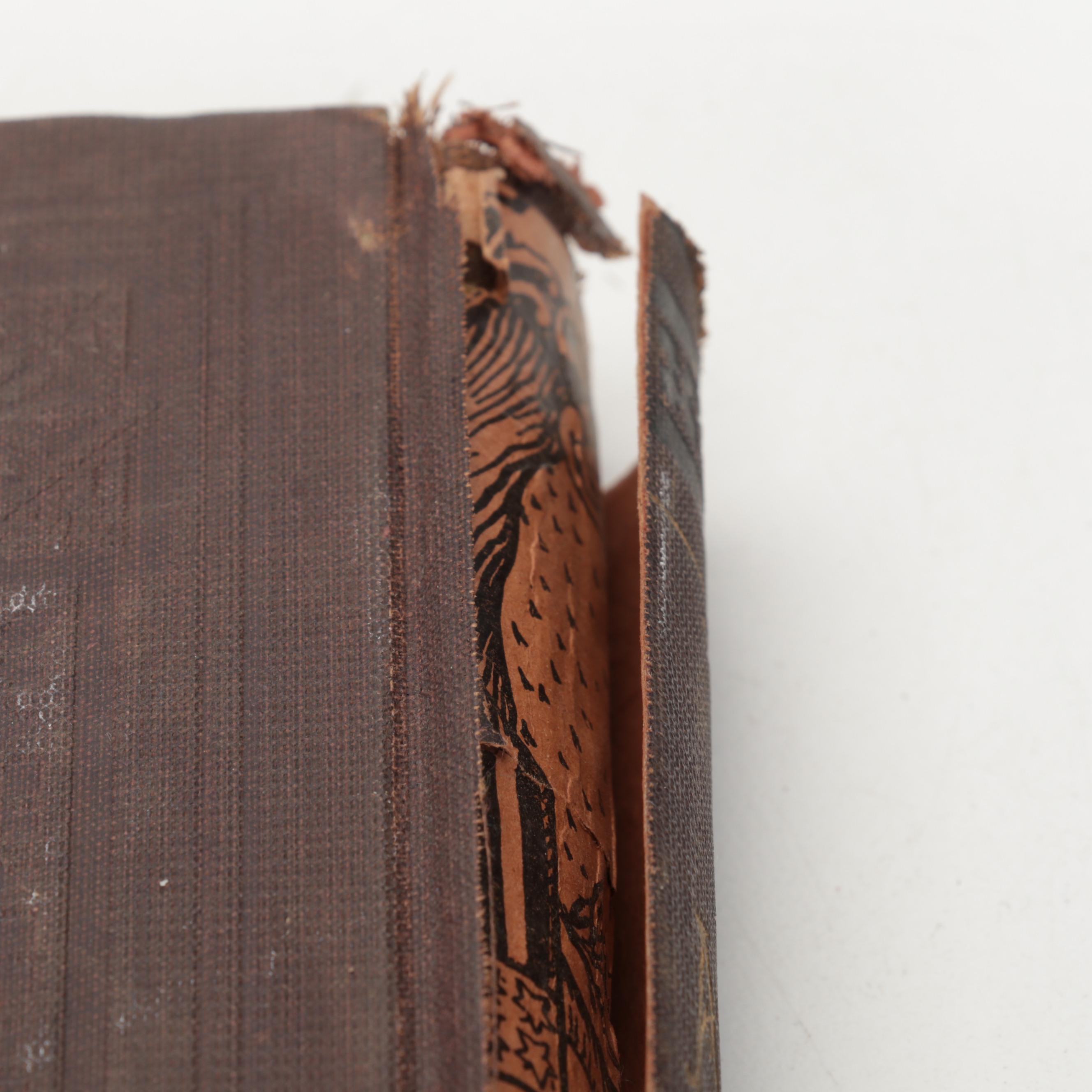 Illustrated "Animate Creation" Vol. IV by Rev. John George Wood, 1898