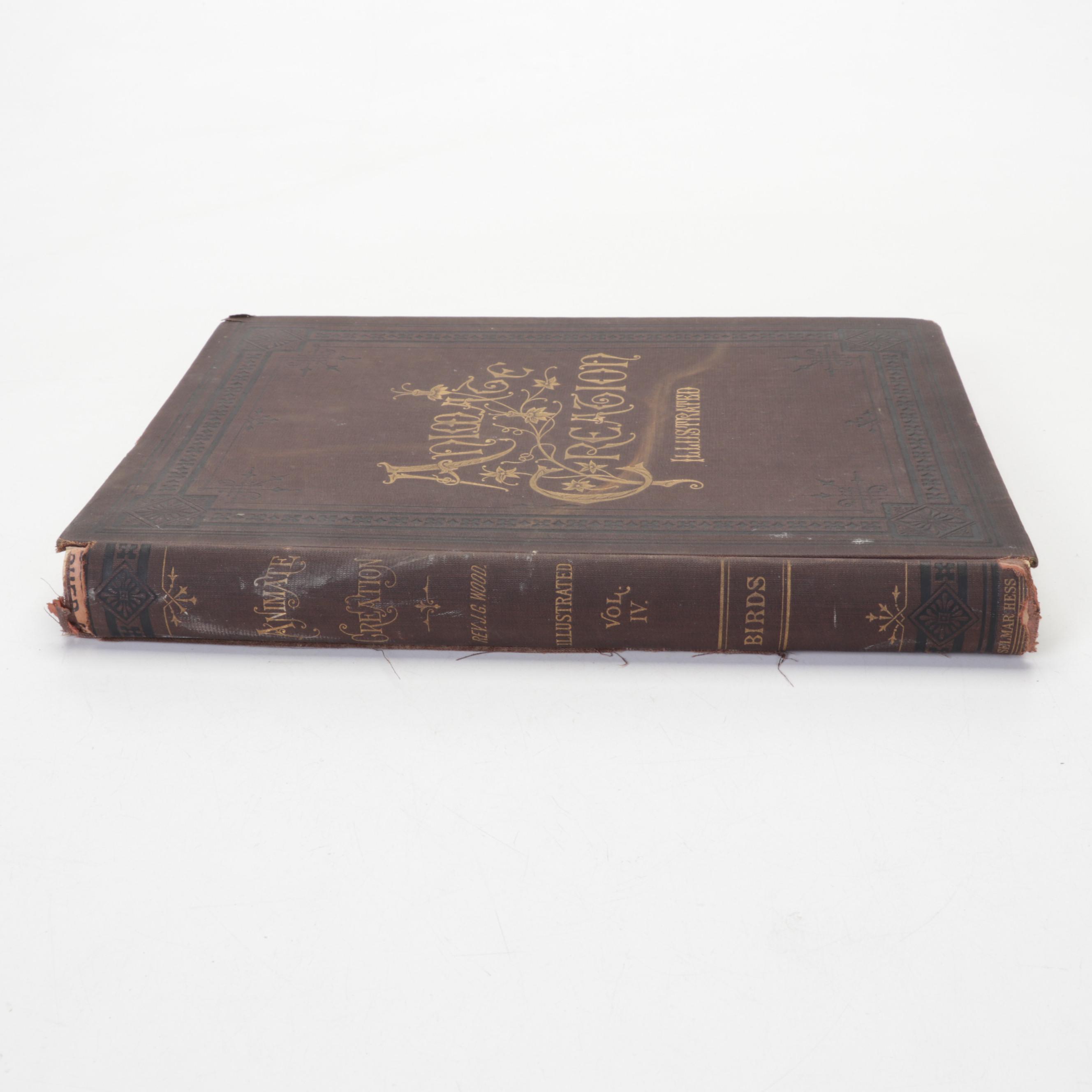 Illustrated "Animate Creation" Vol. IV by Rev. John George Wood, 1898