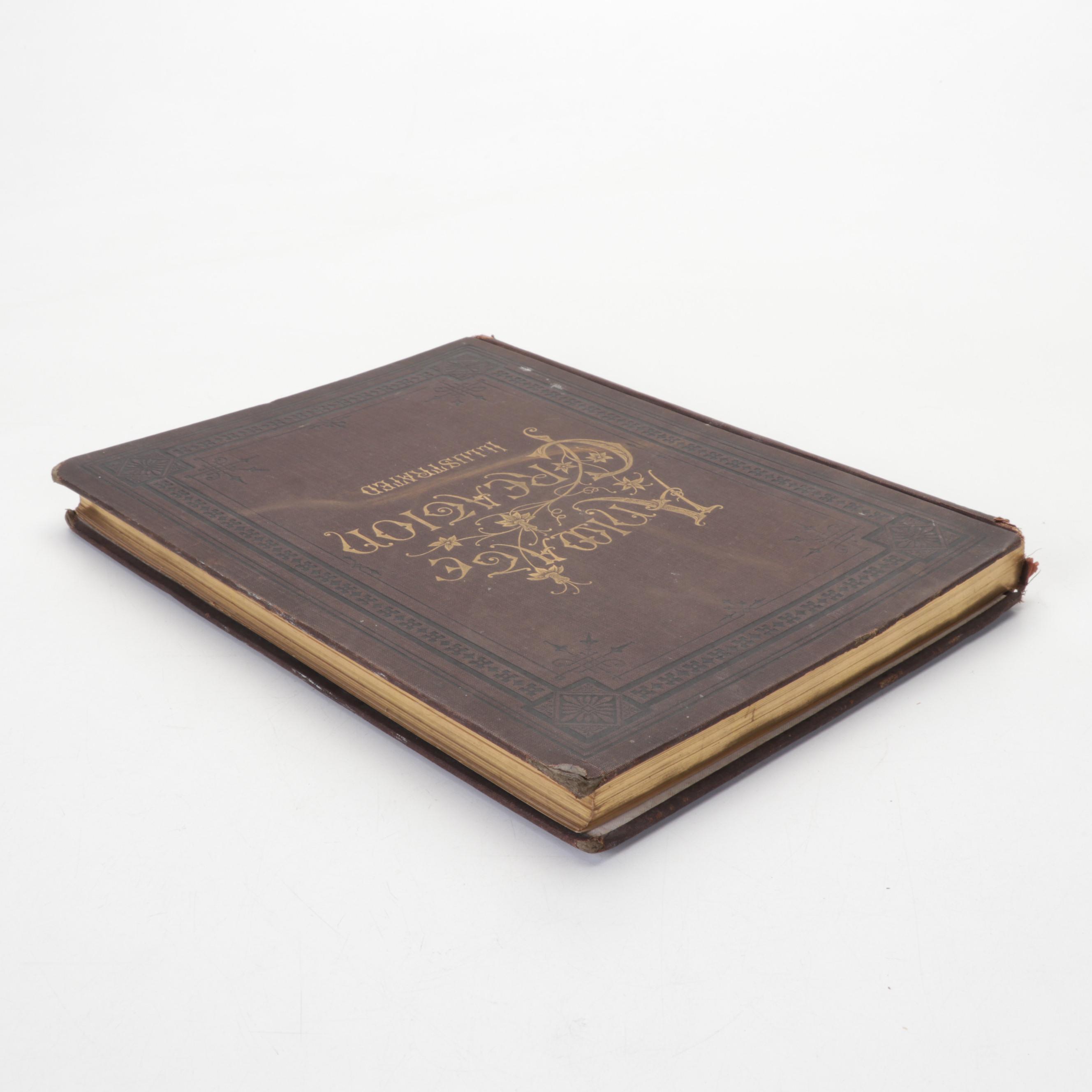 Illustrated "Animate Creation" Vol. IV by Rev. John George Wood, 1898