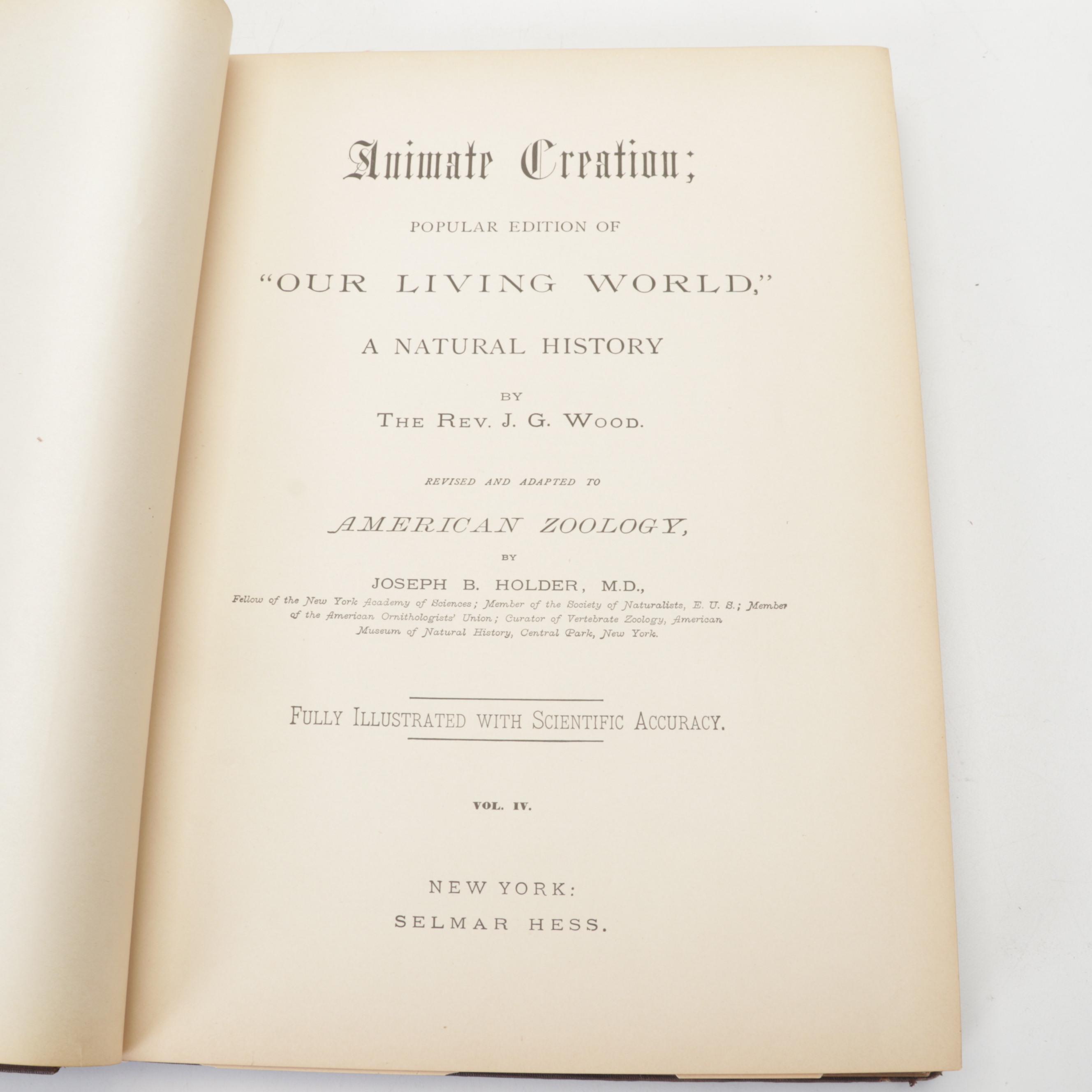Illustrated "Animate Creation" Vol. IV by Rev. John George Wood, 1898