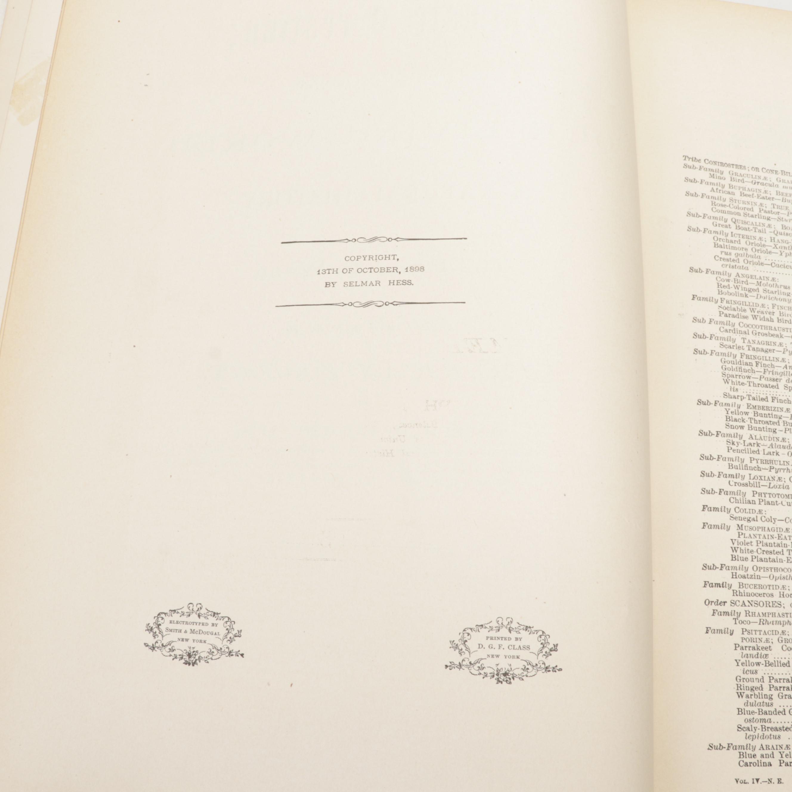 Illustrated "Animate Creation" Vol. IV by Rev. John George Wood, 1898
