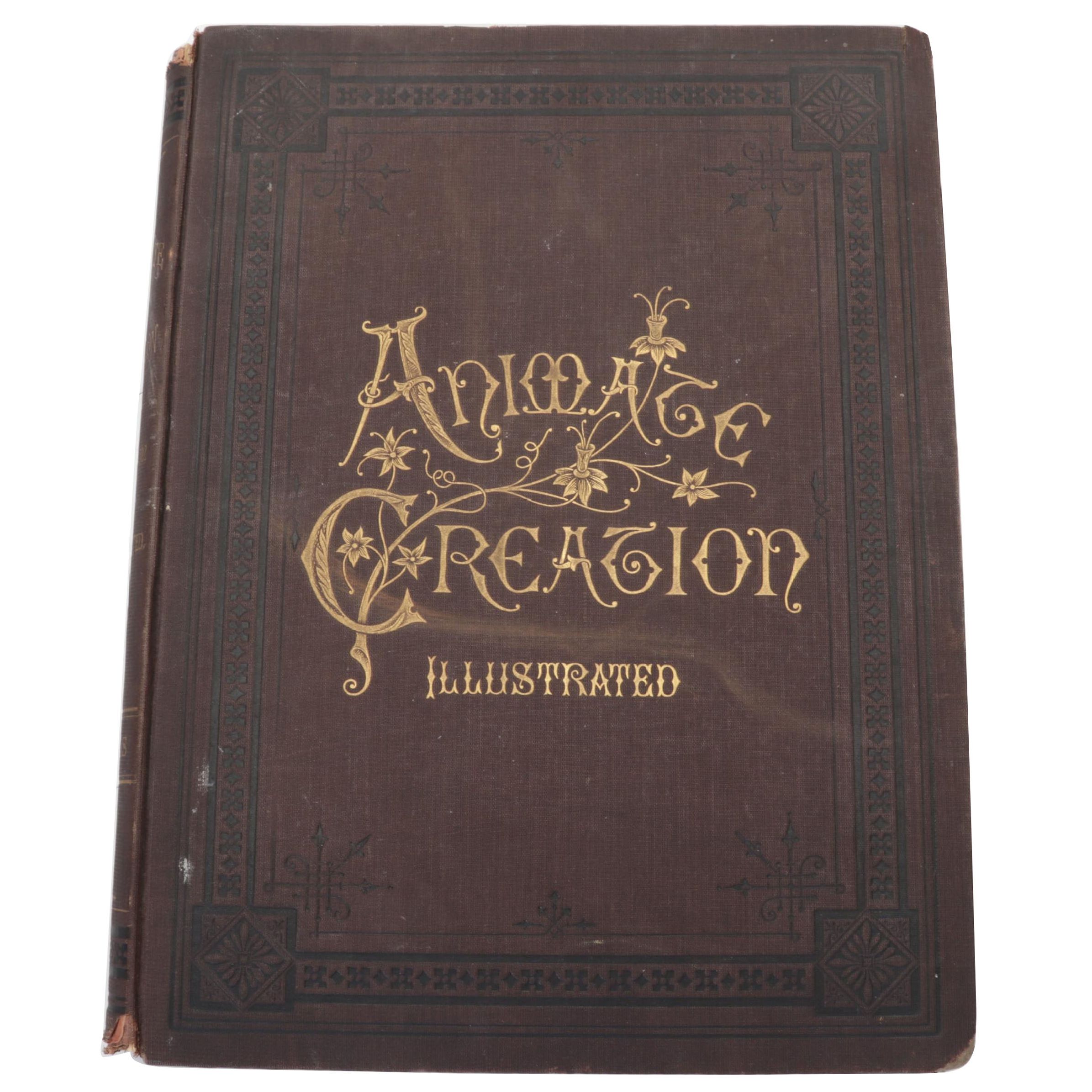 Illustrated "Animate Creation" Vol. IV by Rev. John George Wood, 1898