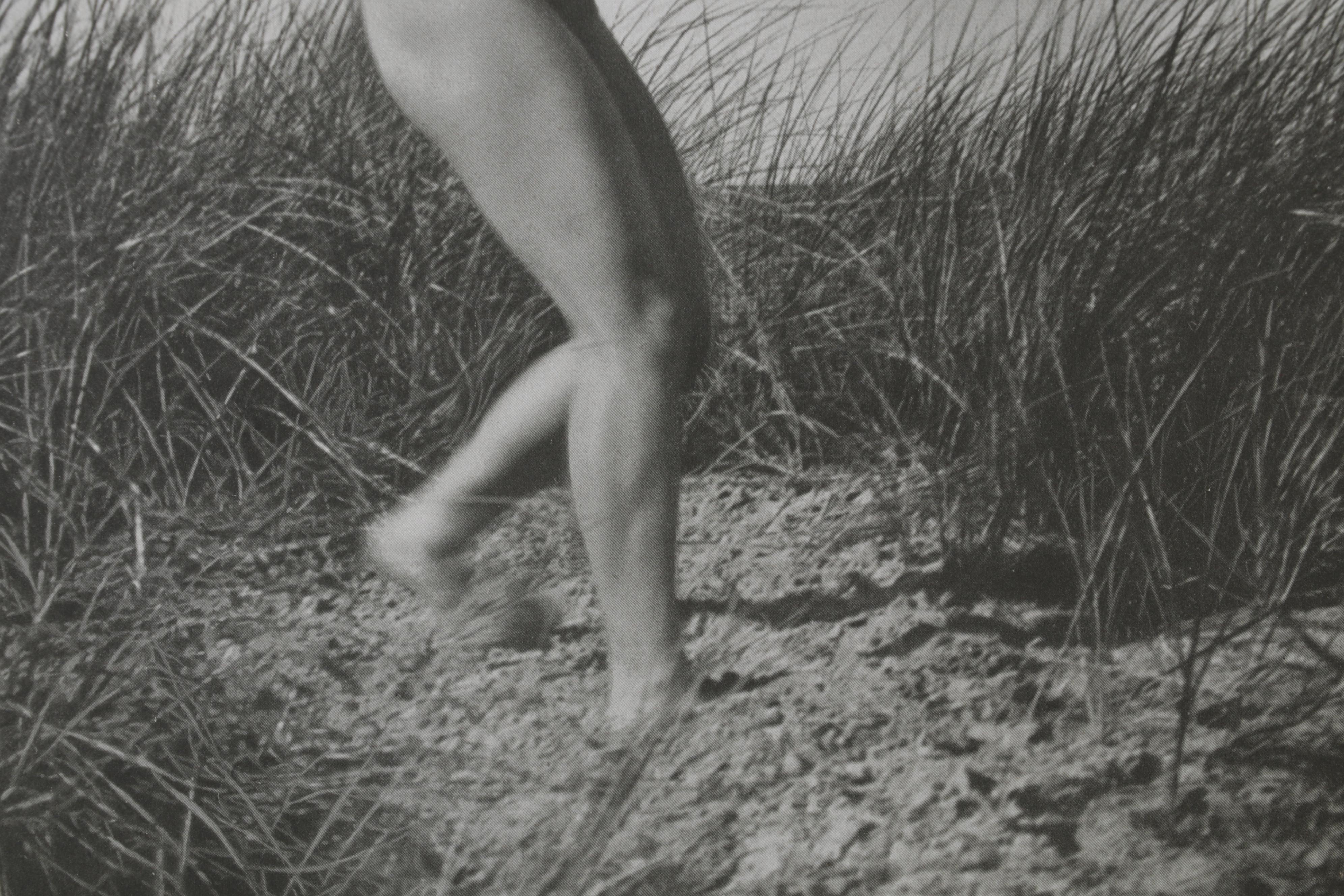 Bruno Schultz Nude Portrait Halftone From "Das Deutsches Aktwerk," Circa 1938