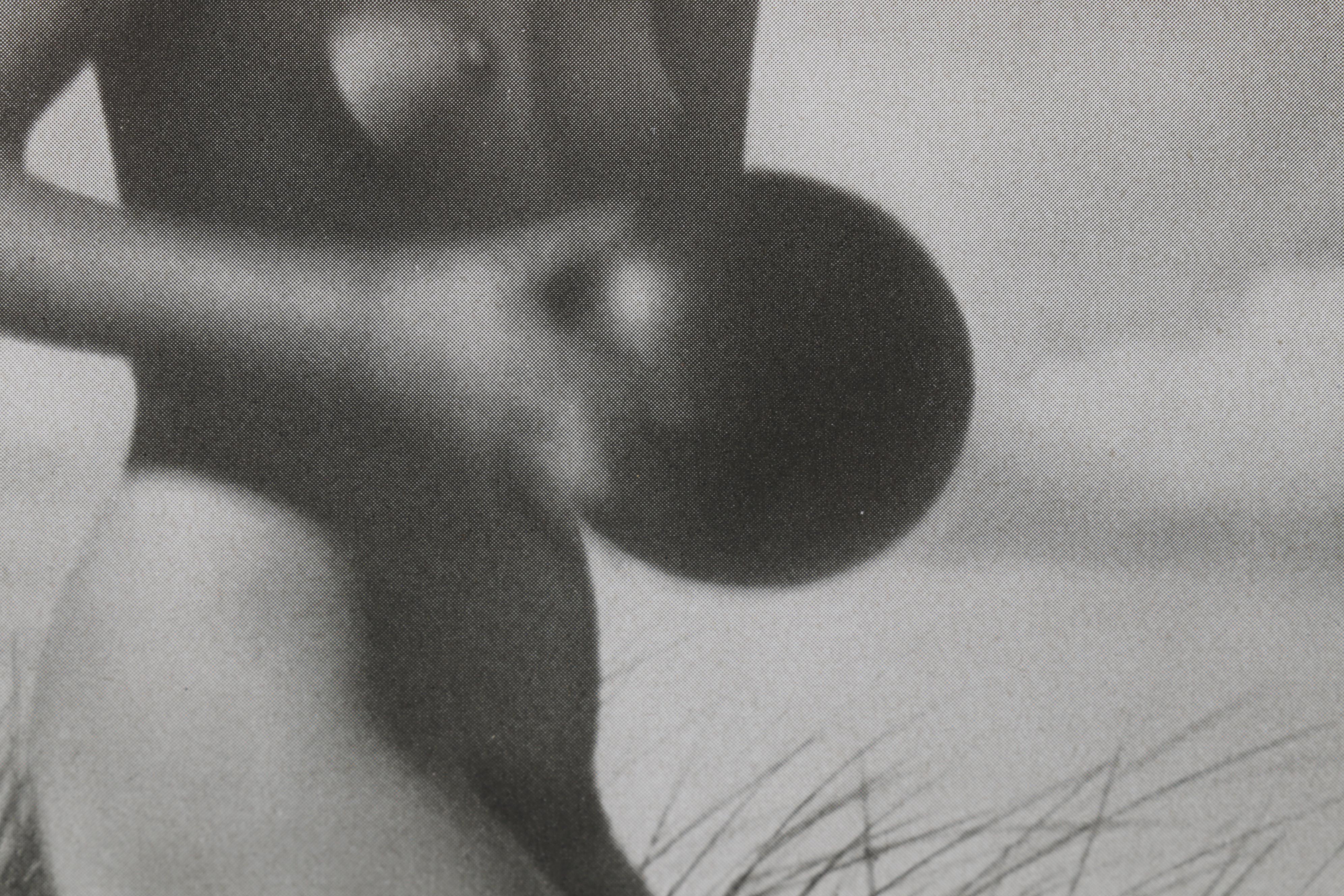 Bruno Schultz Nude Portrait Halftone From "Das Deutsches Aktwerk," Circa 1938