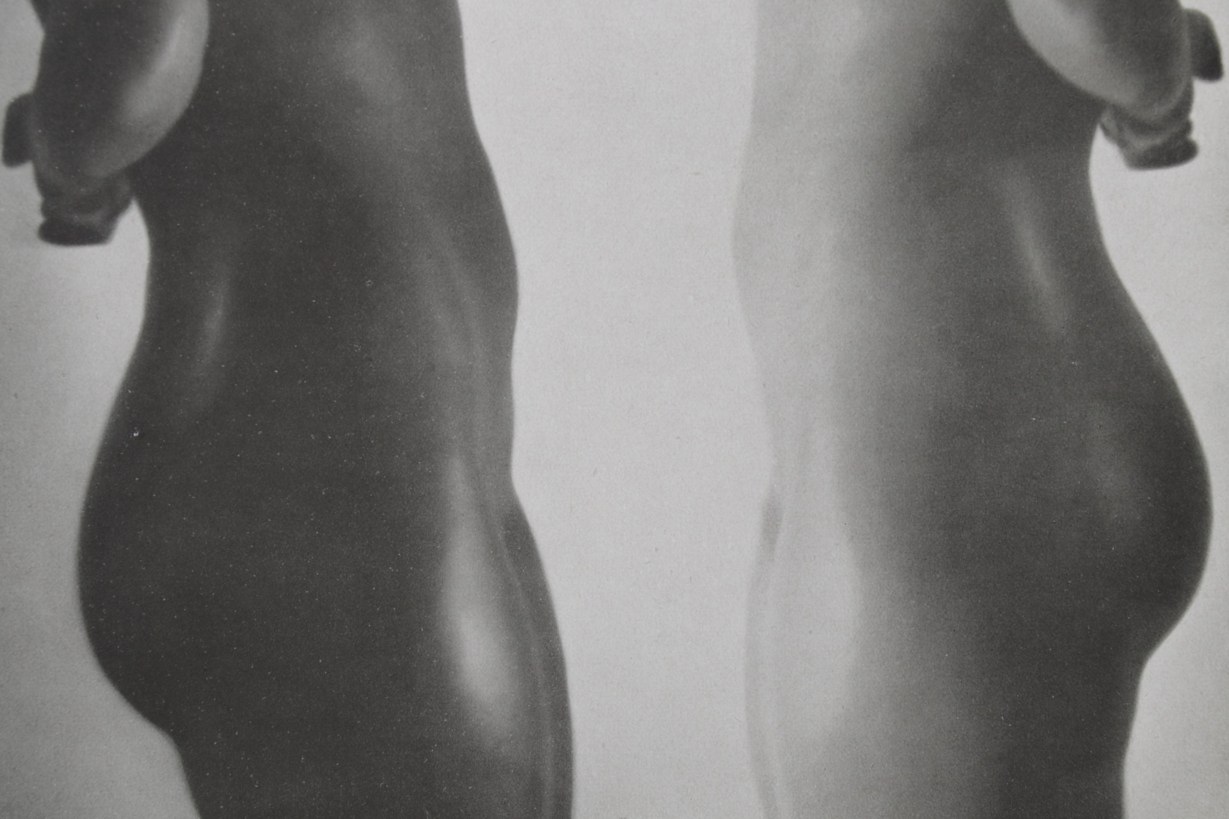 Dorothy Wilding Nude Portrait Halftone From "Das Deutsche Aktwerk," Circa 1940