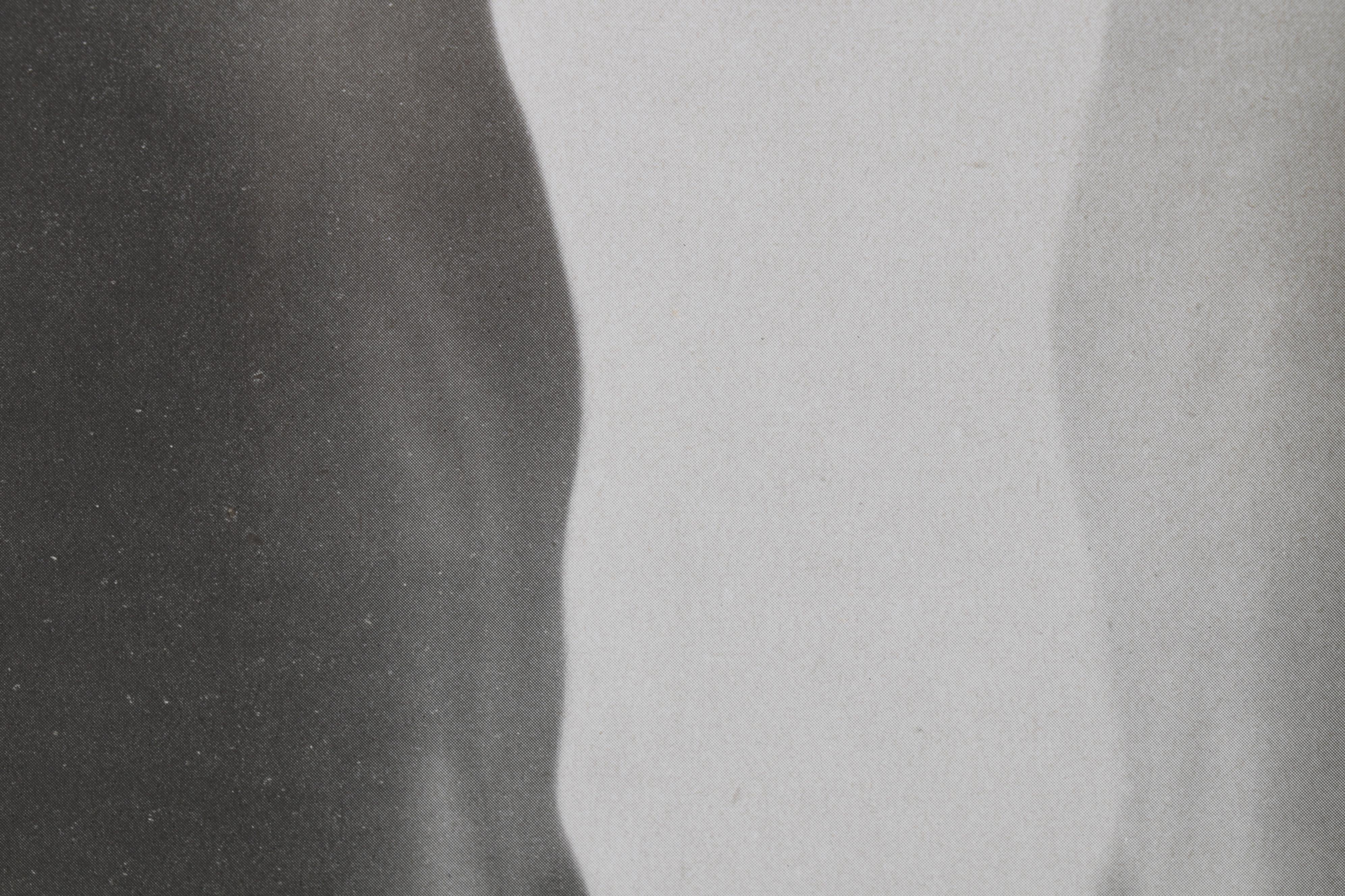 Dorothy Wilding Nude Portrait Halftone From "Das Deutsche Aktwerk," Circa 1940