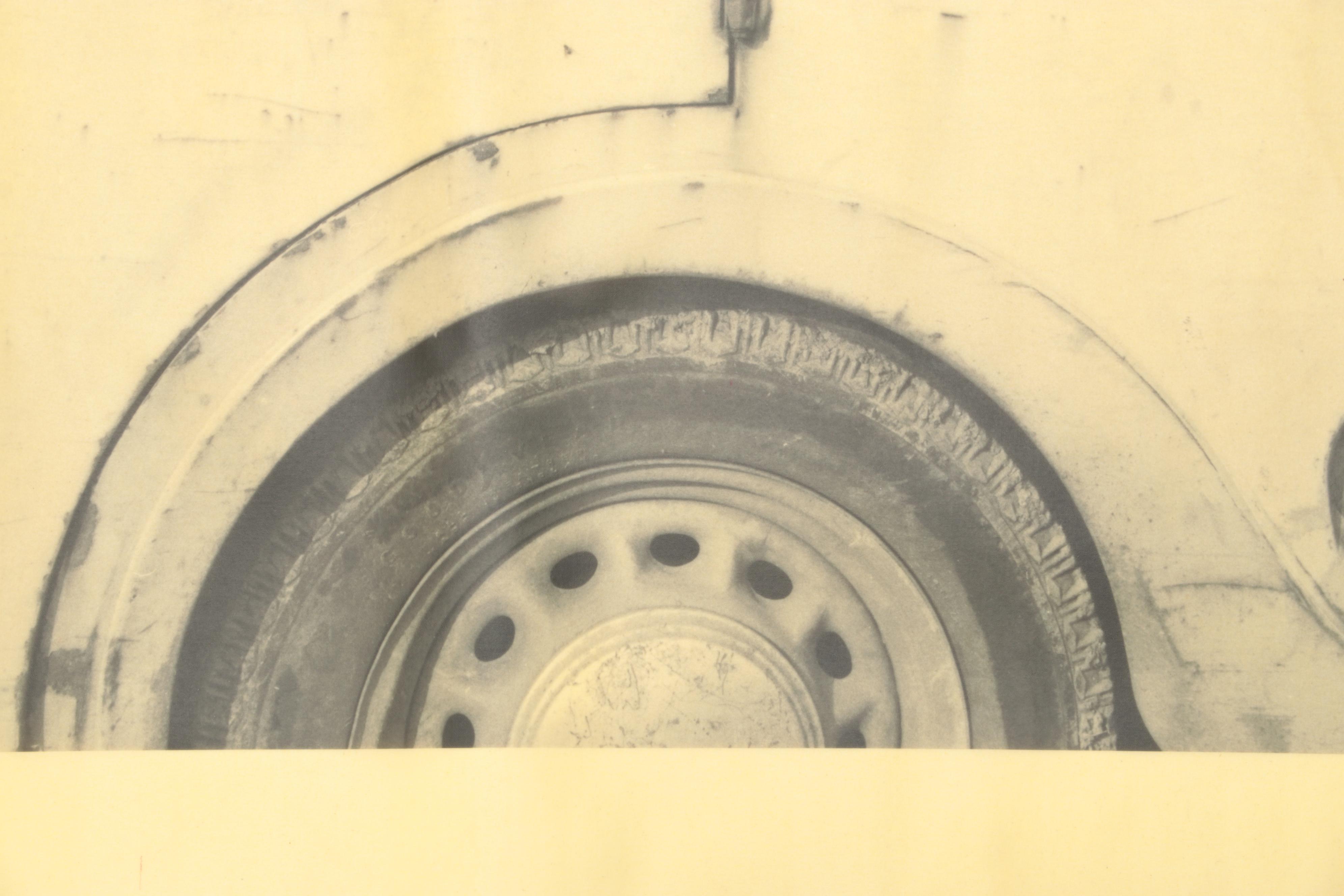 Madison James Giclée of Sheep in a Car on Waxed Canvas