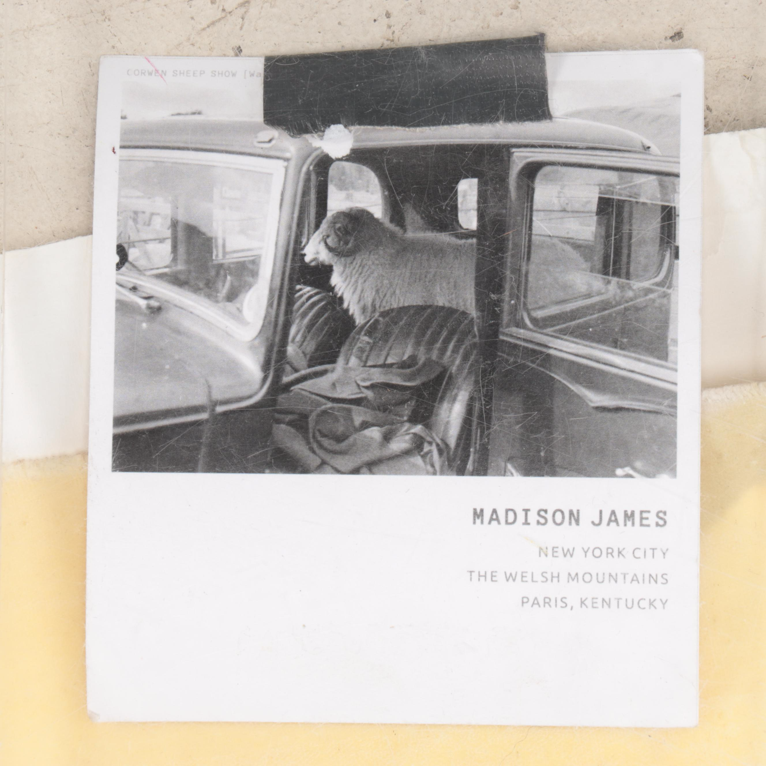 Madison James Giclée of Sheep in a Car on Waxed Canvas