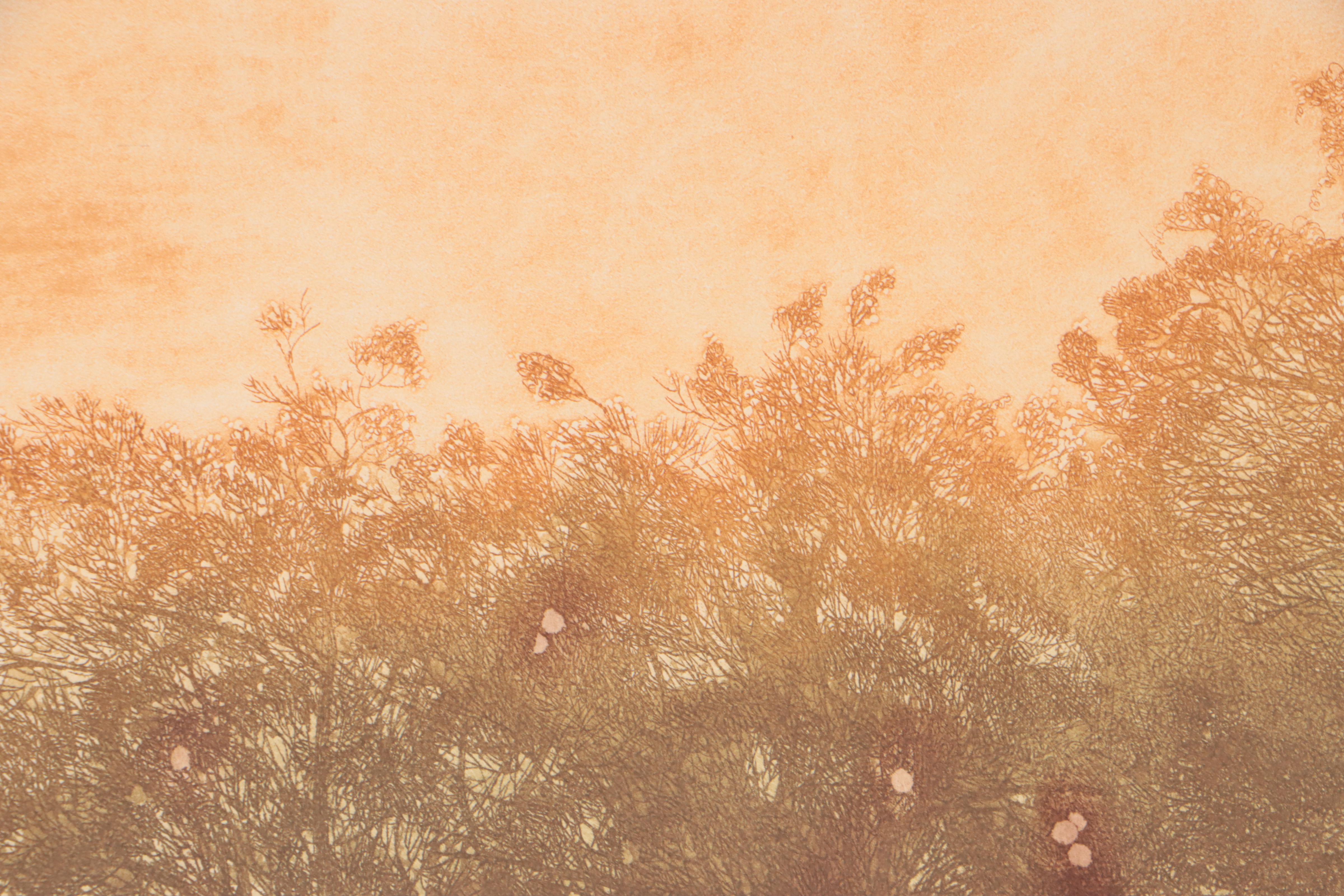 Russa Graeme Landscape Etching With Aquatint "Orchard," Late 20th Century