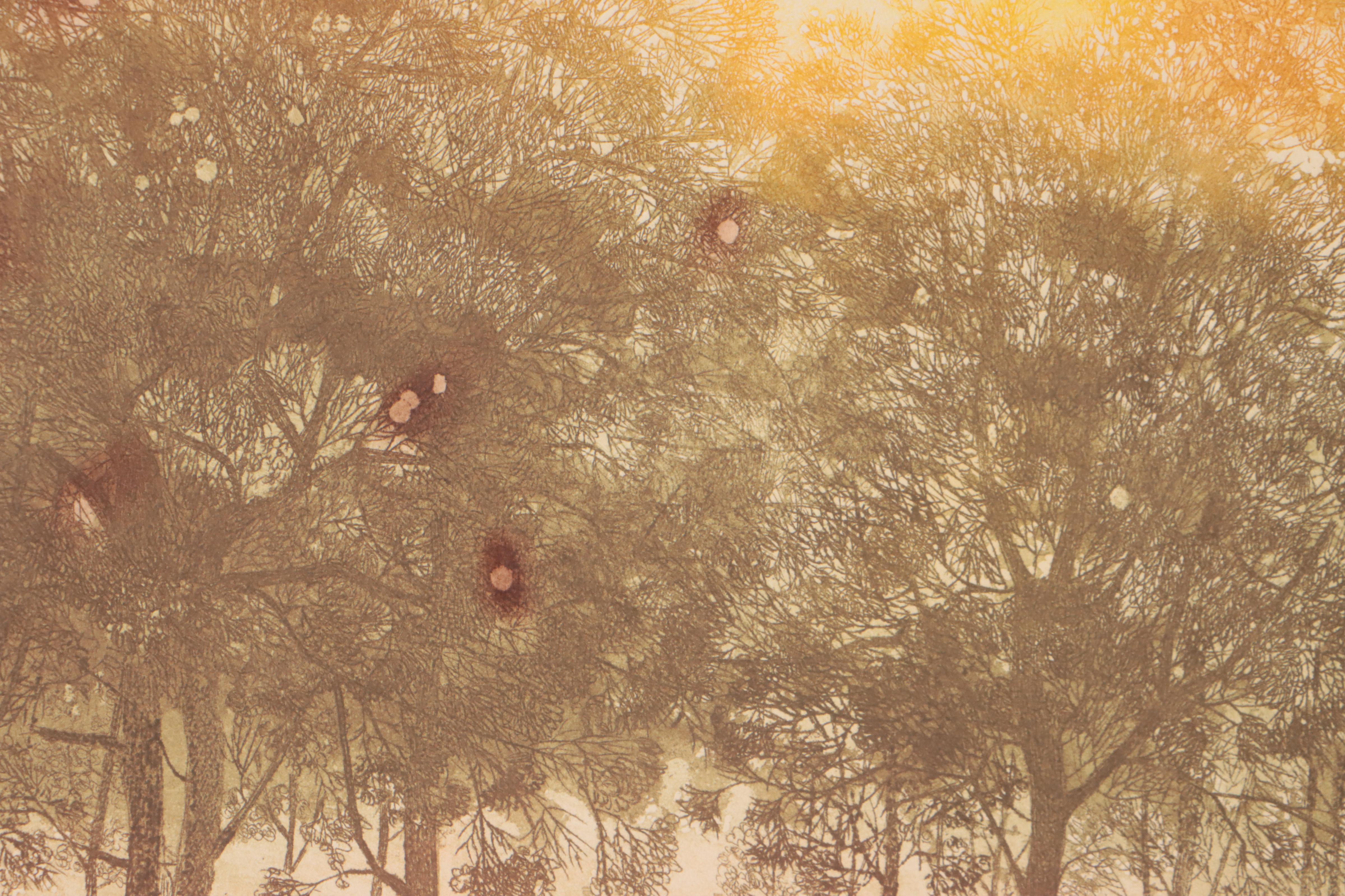 Russa Graeme Landscape Etching With Aquatint "Orchard," Late 20th Century