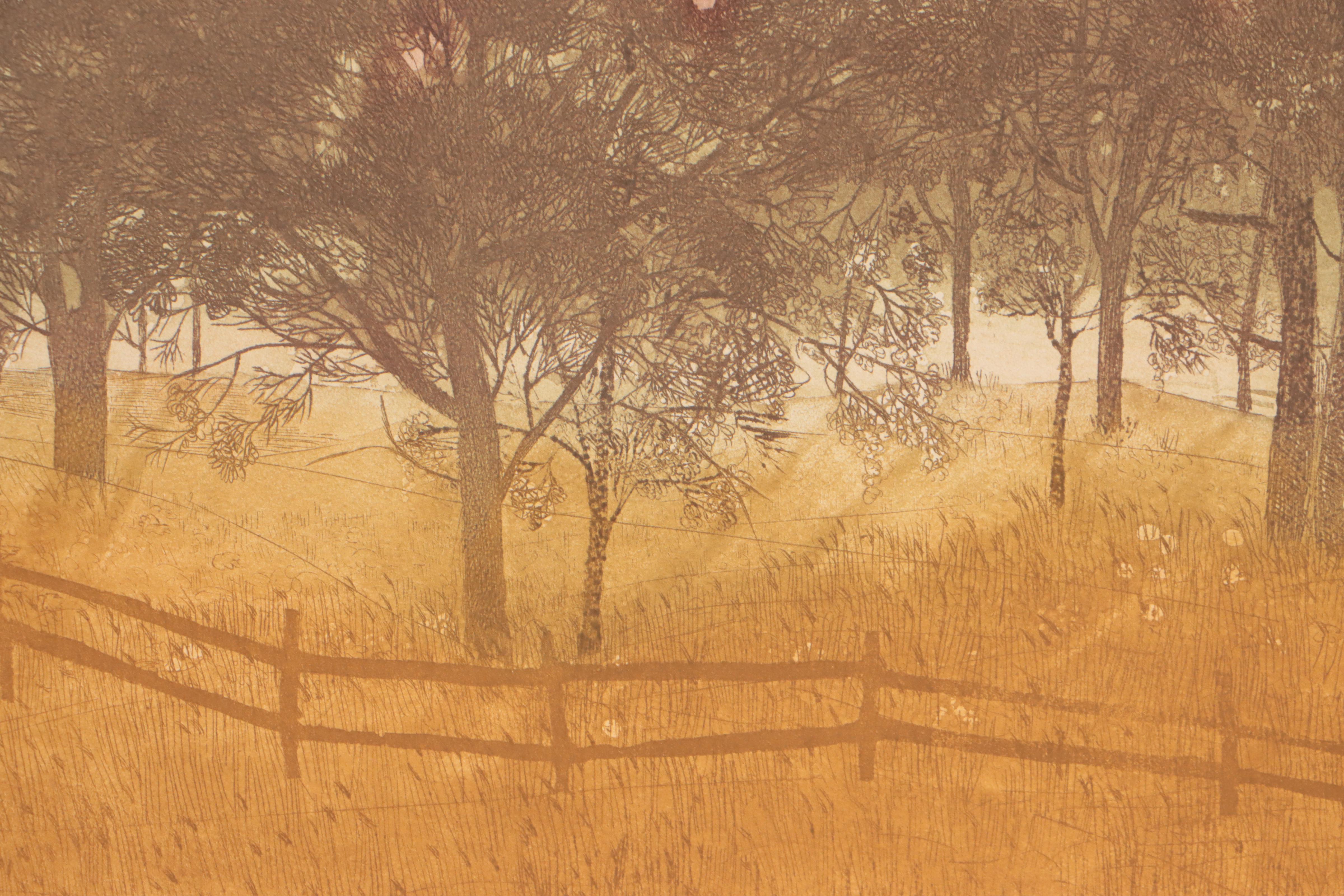 Russa Graeme Landscape Etching With Aquatint "Orchard," Late 20th Century