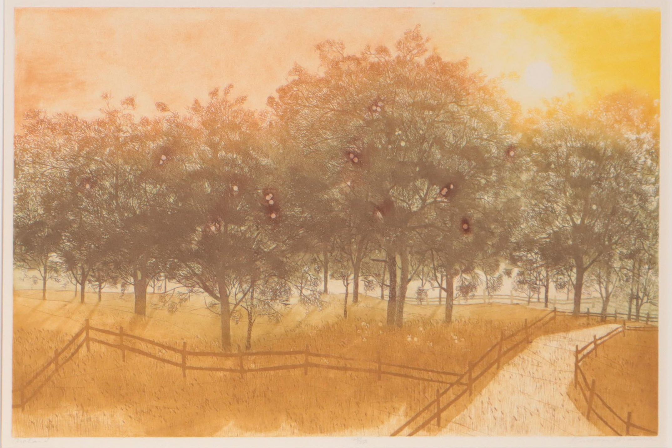 Russa Graeme Landscape Etching With Aquatint "Orchard," Late 20th Century