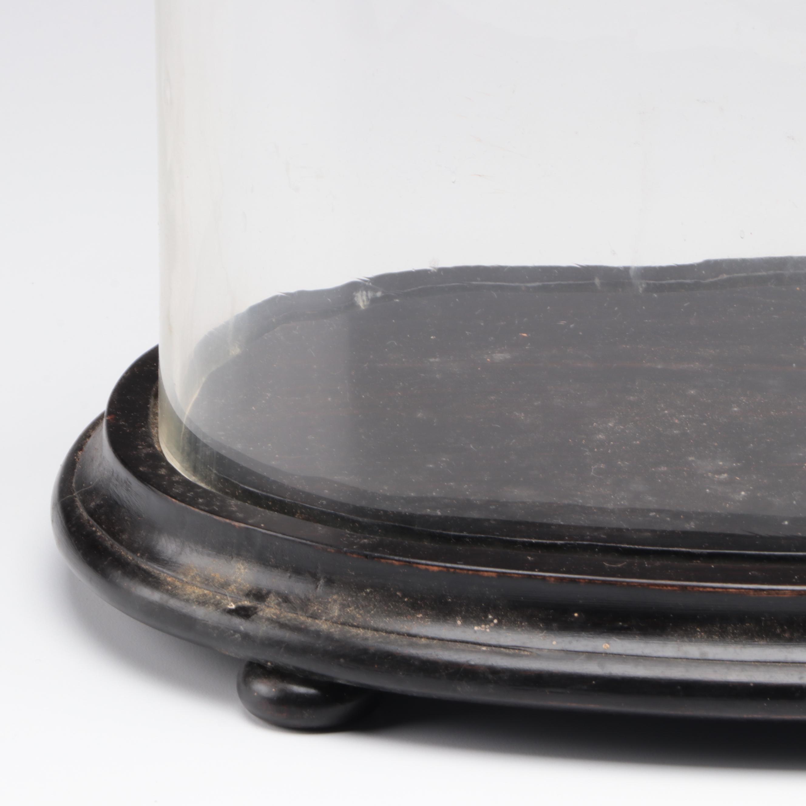 Victorian Glass Cloche with Wood Base, Late 19th Century