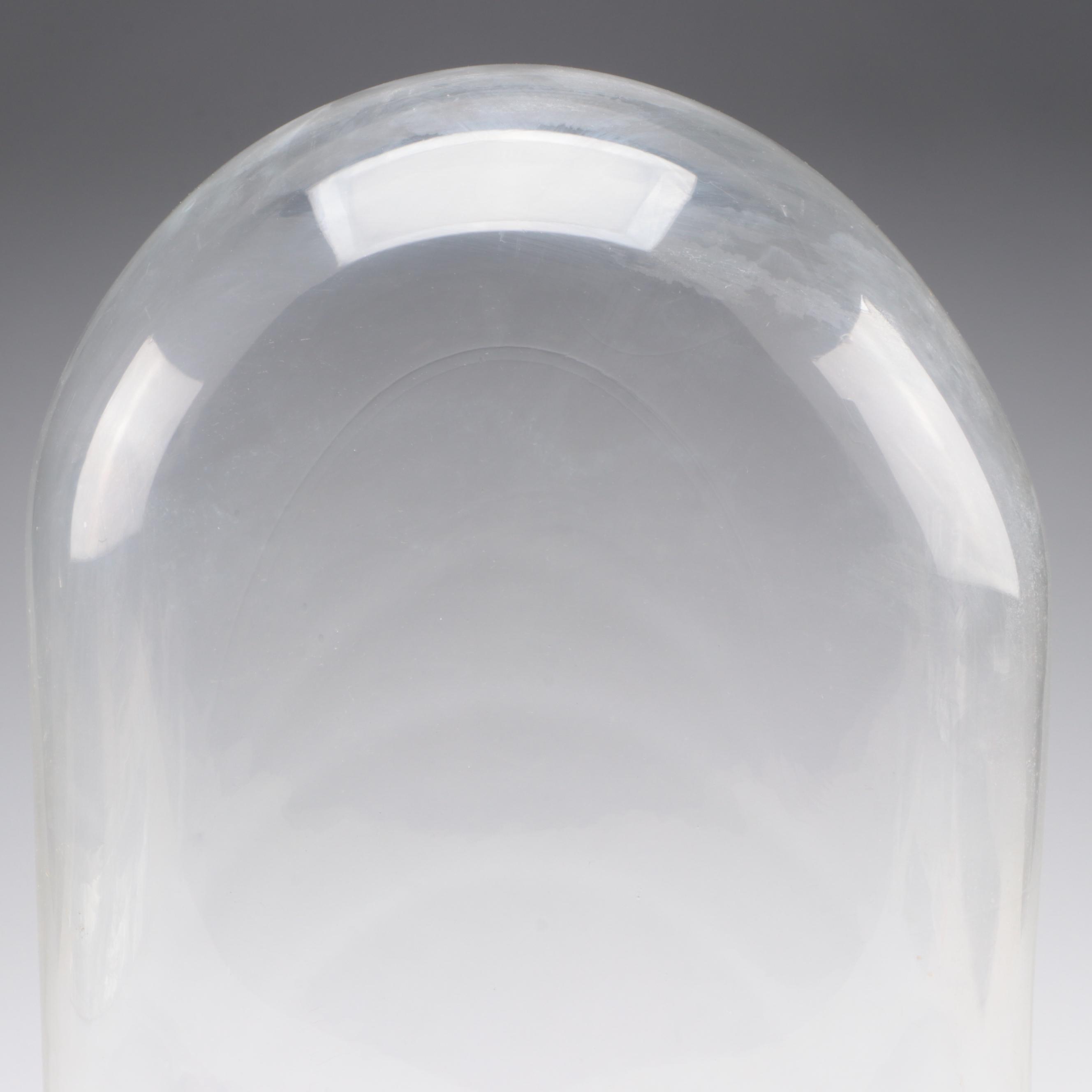 Victorian Glass Cloche with Wood Base, Late 19th Century