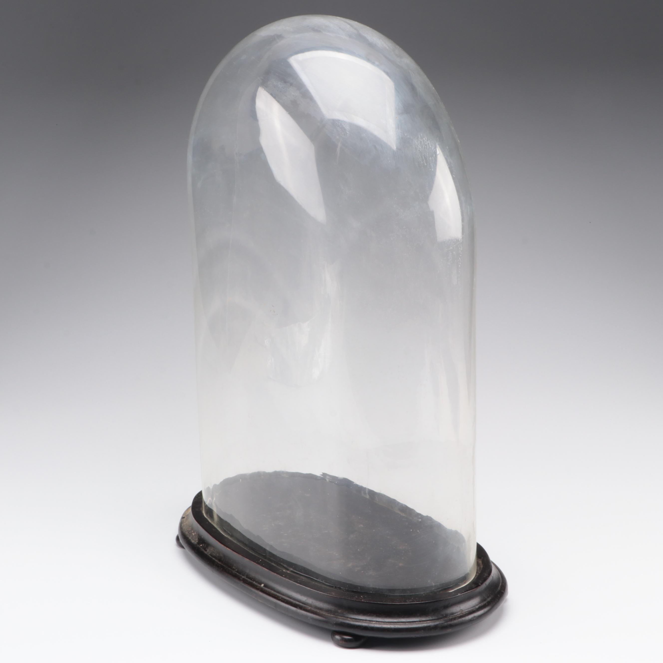 Victorian Glass Cloche with Wood Base, Late 19th Century